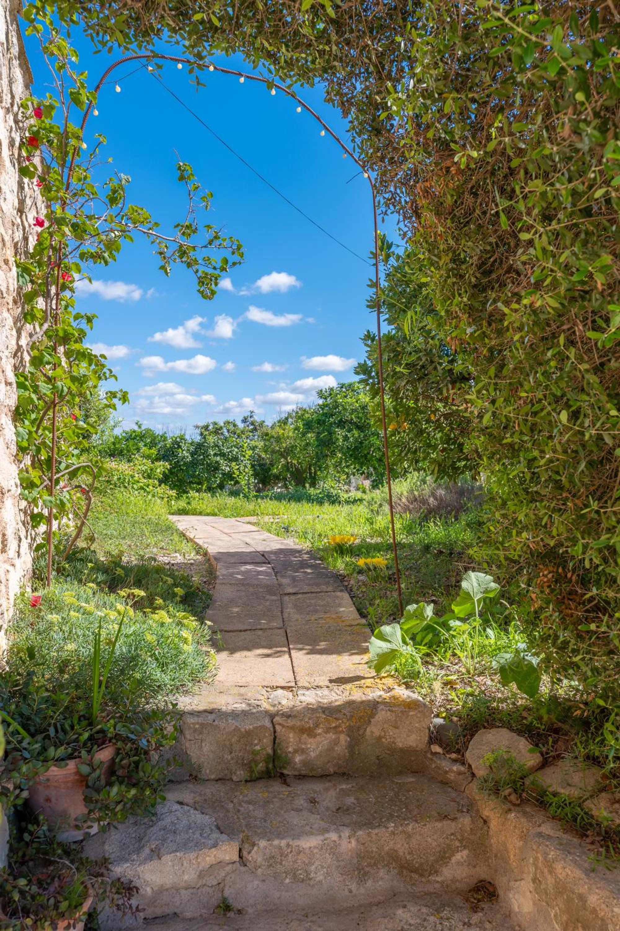 Finca es Rafal, Agroturisme photo 4