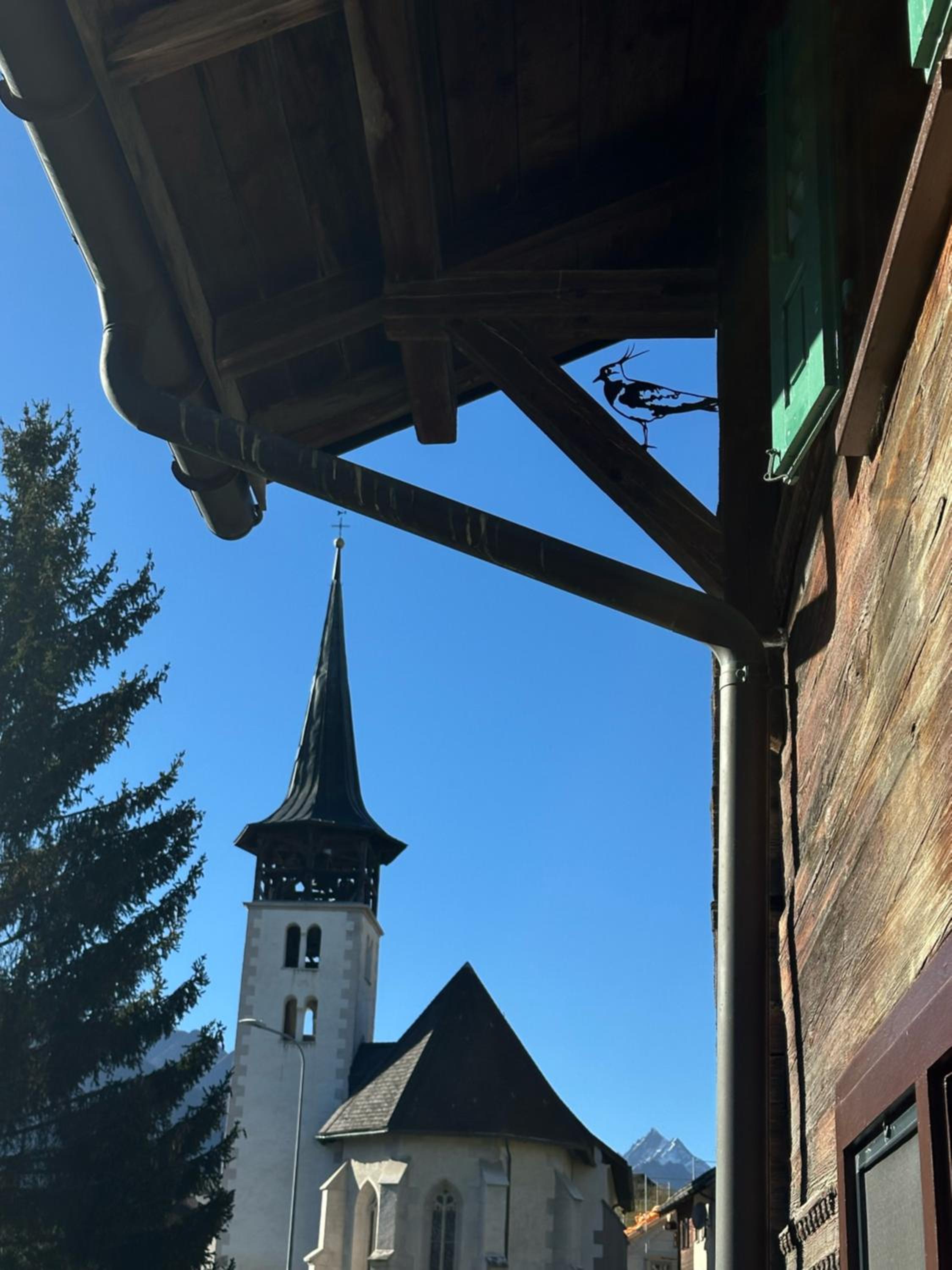 Casa Vanellus / Vignogn / Val Lumnezia / near Laax