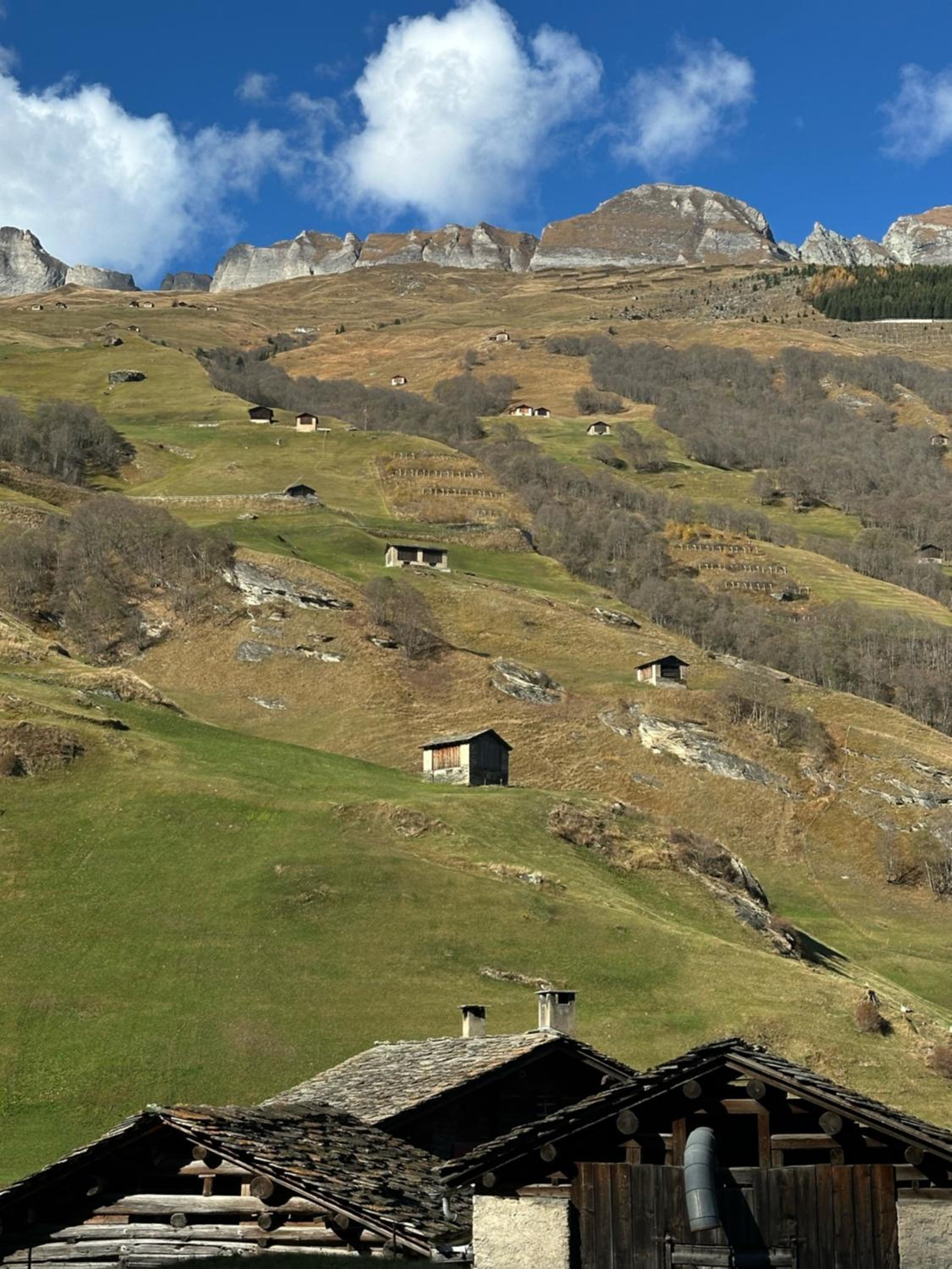 Casa Vanellus / Vignogn / Val Lumnezia / near Laax