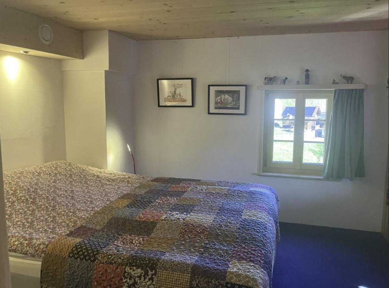 Casa Vanellus / Vignogn / Val Lumnezia / near Laax