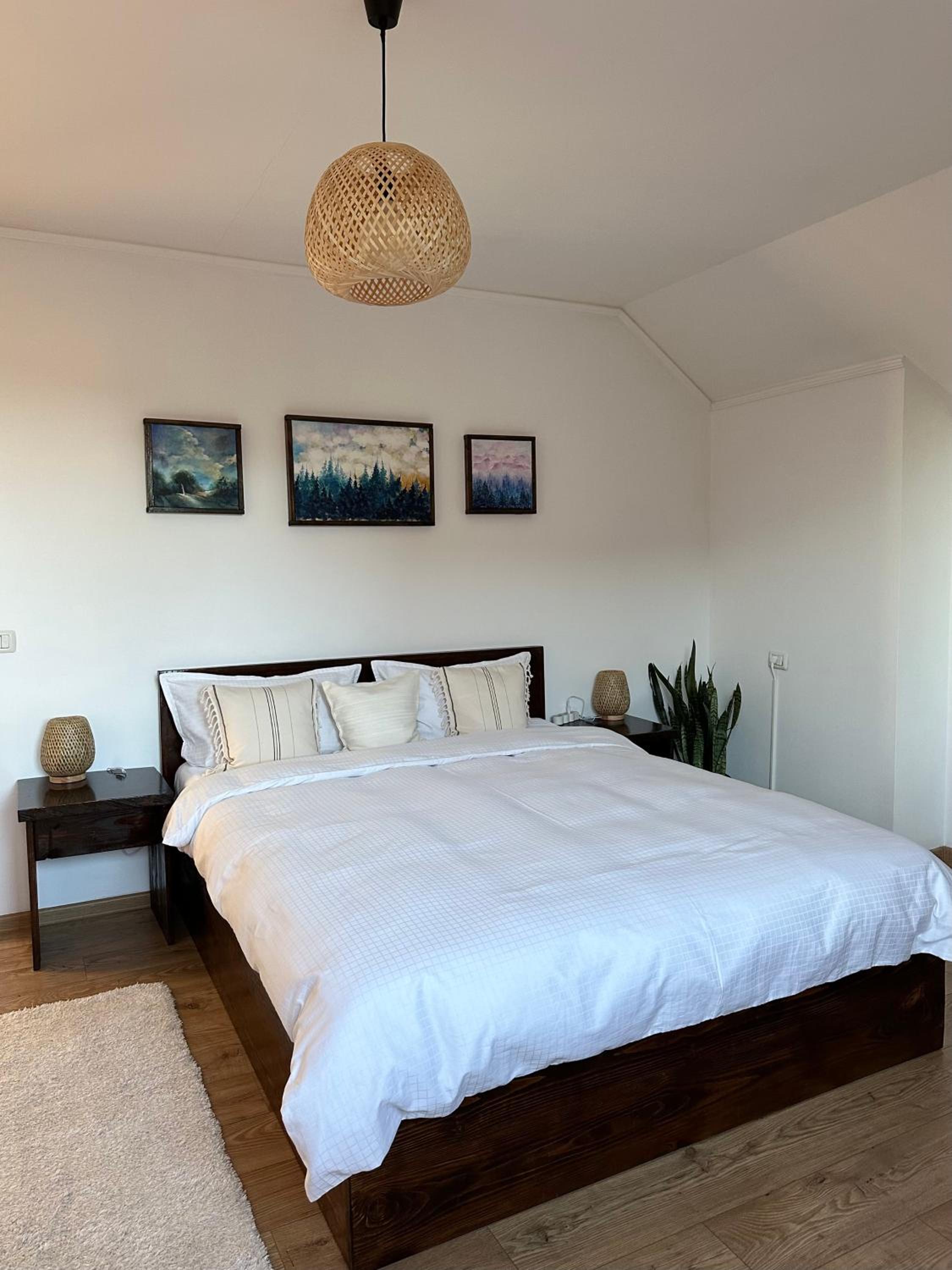 Bucovina Easy Stay view 2