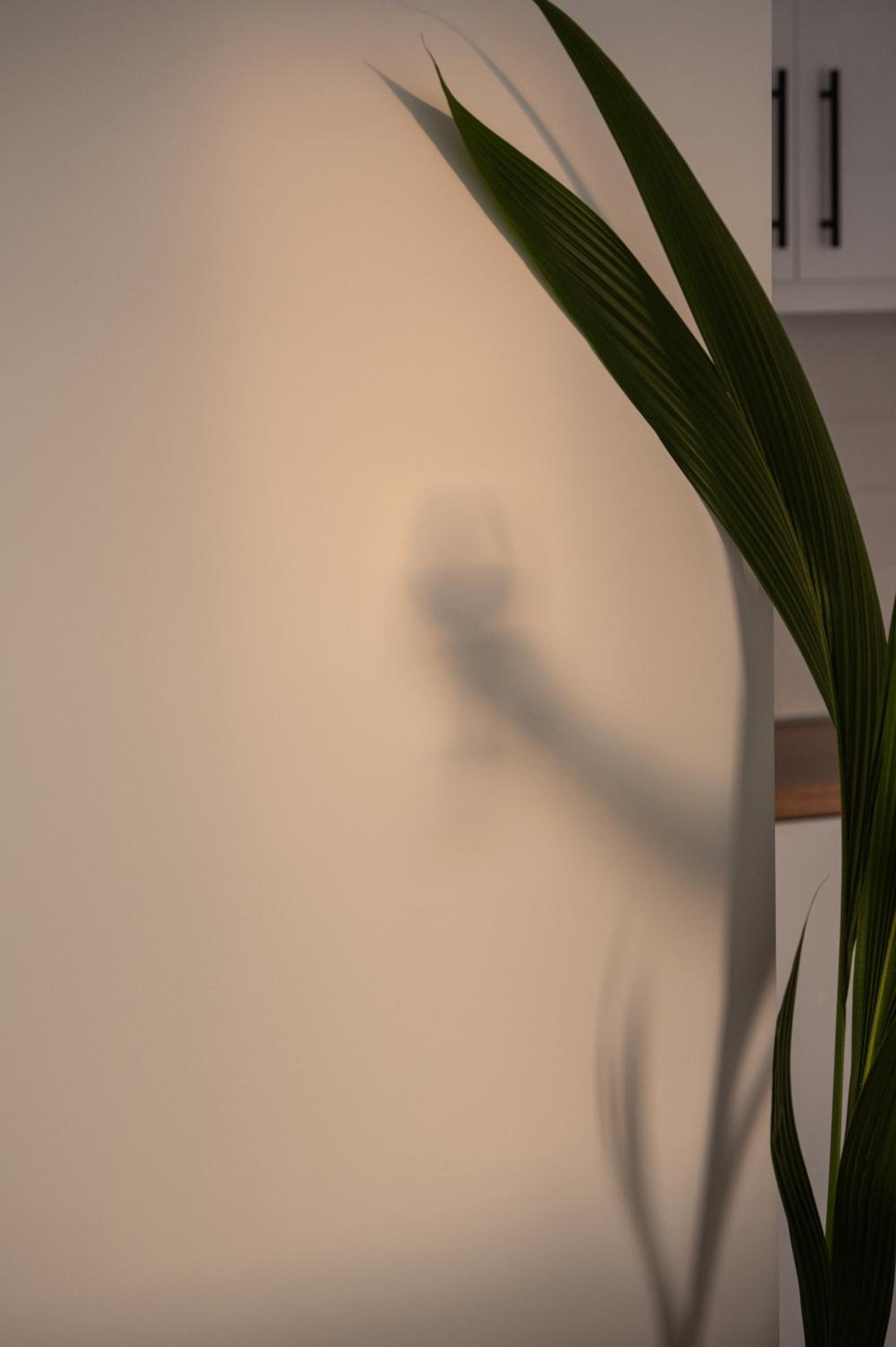 Prive Studio