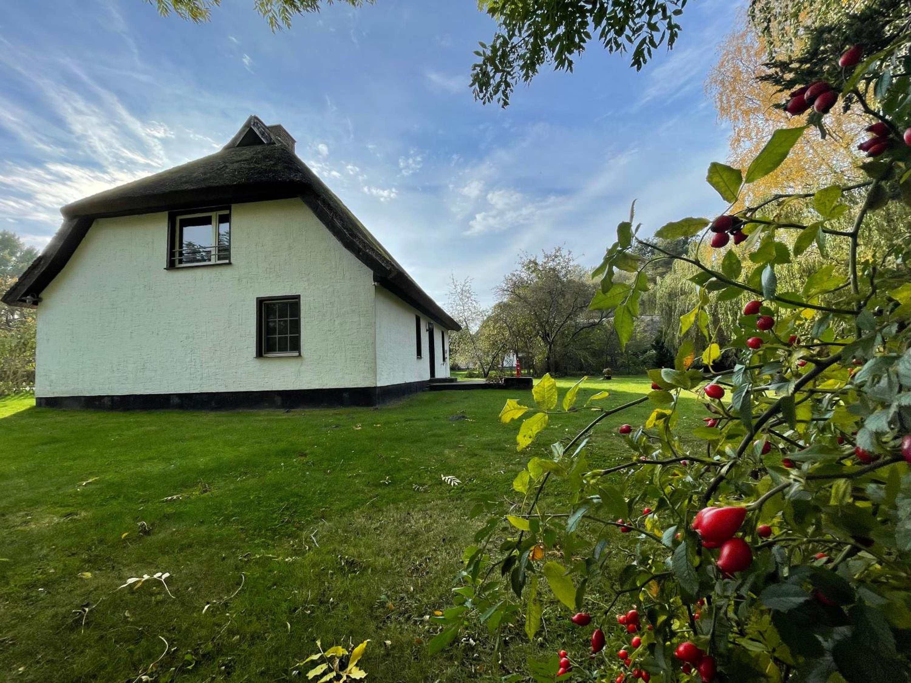 Ferienhaus mit Reetdach