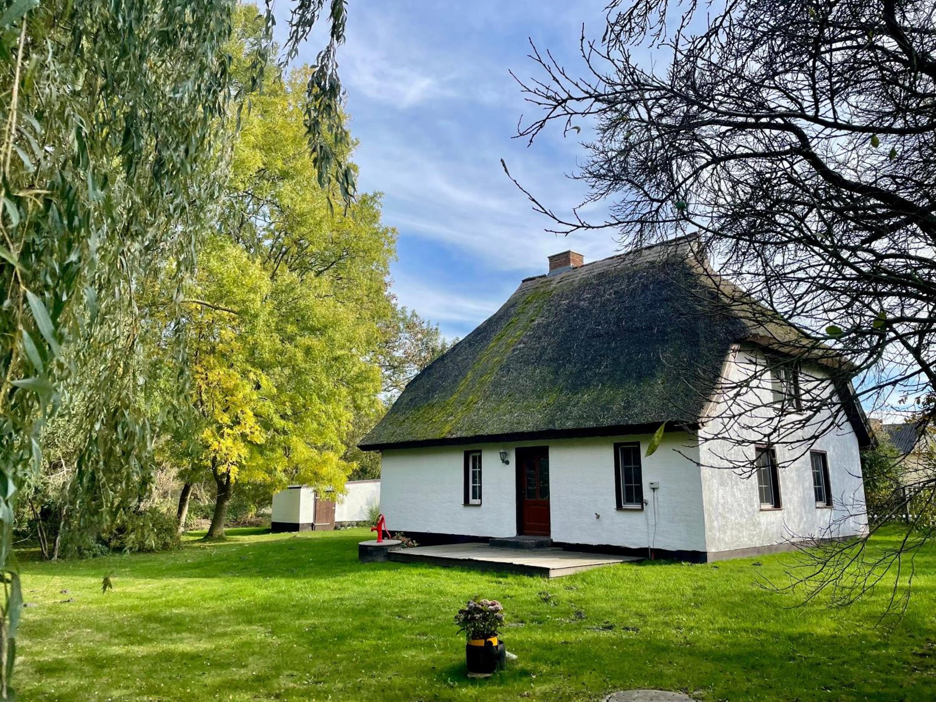 Ferienhaus mit Reetdach