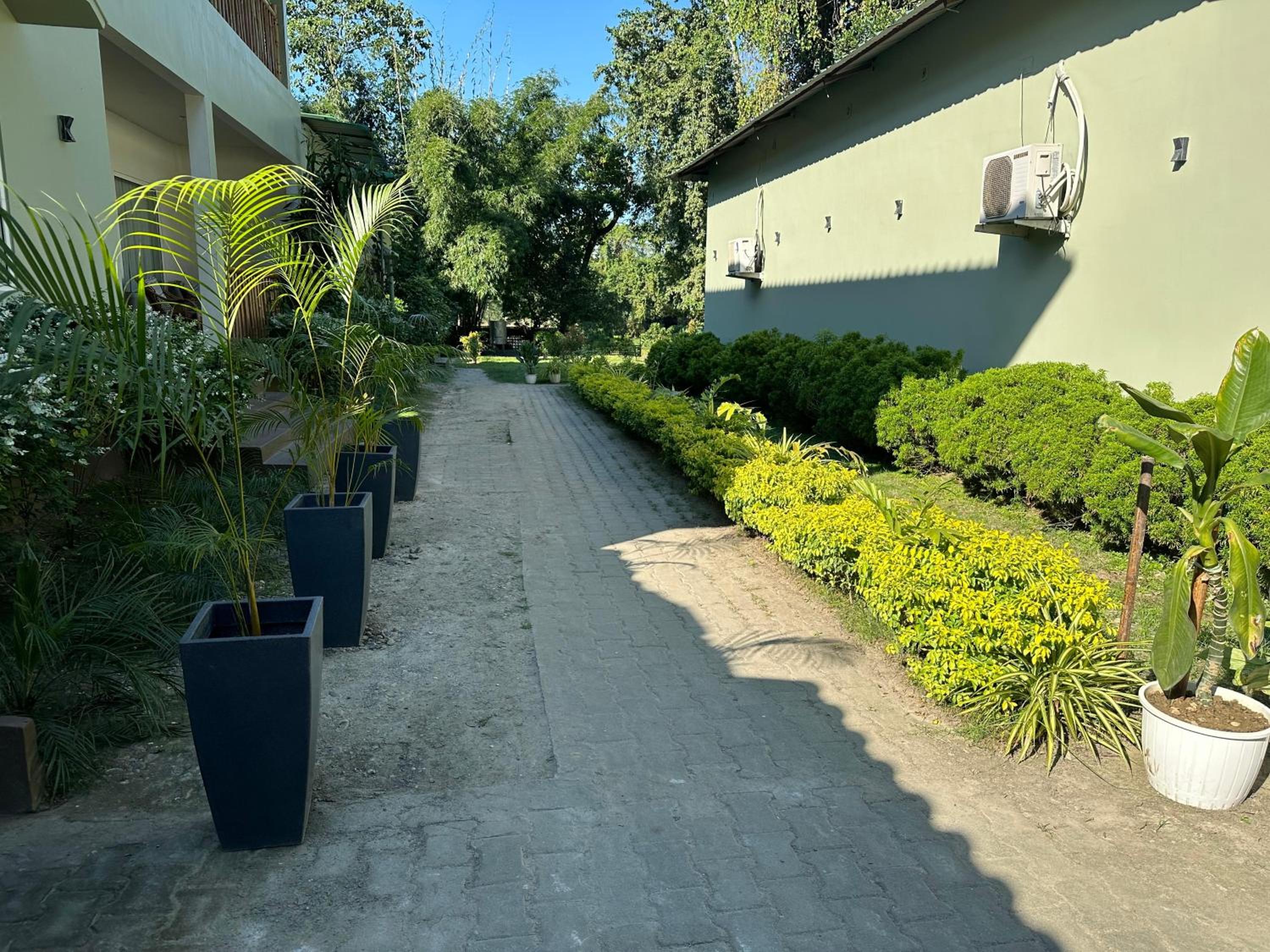 Photo 19
