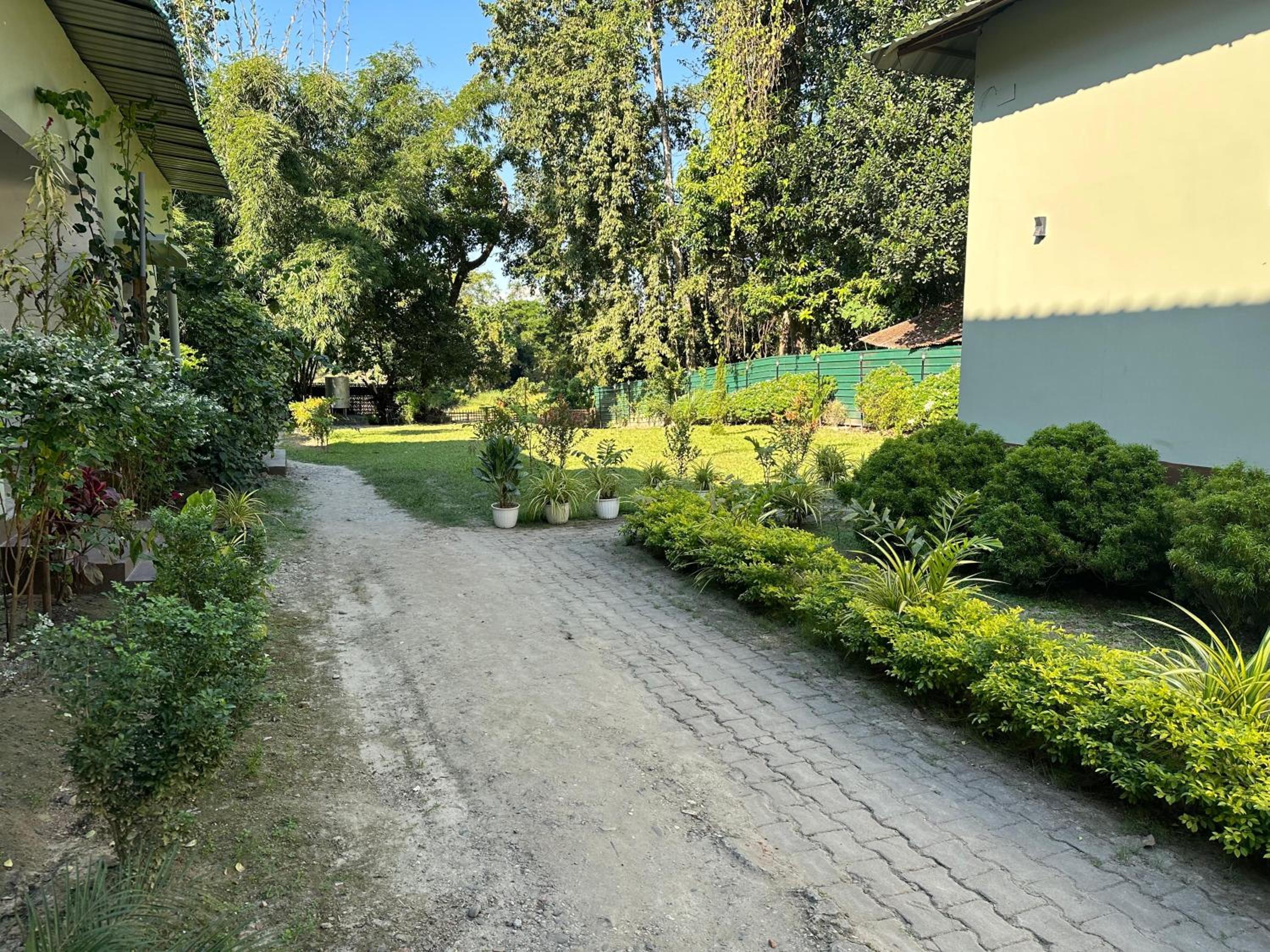 Photo 21