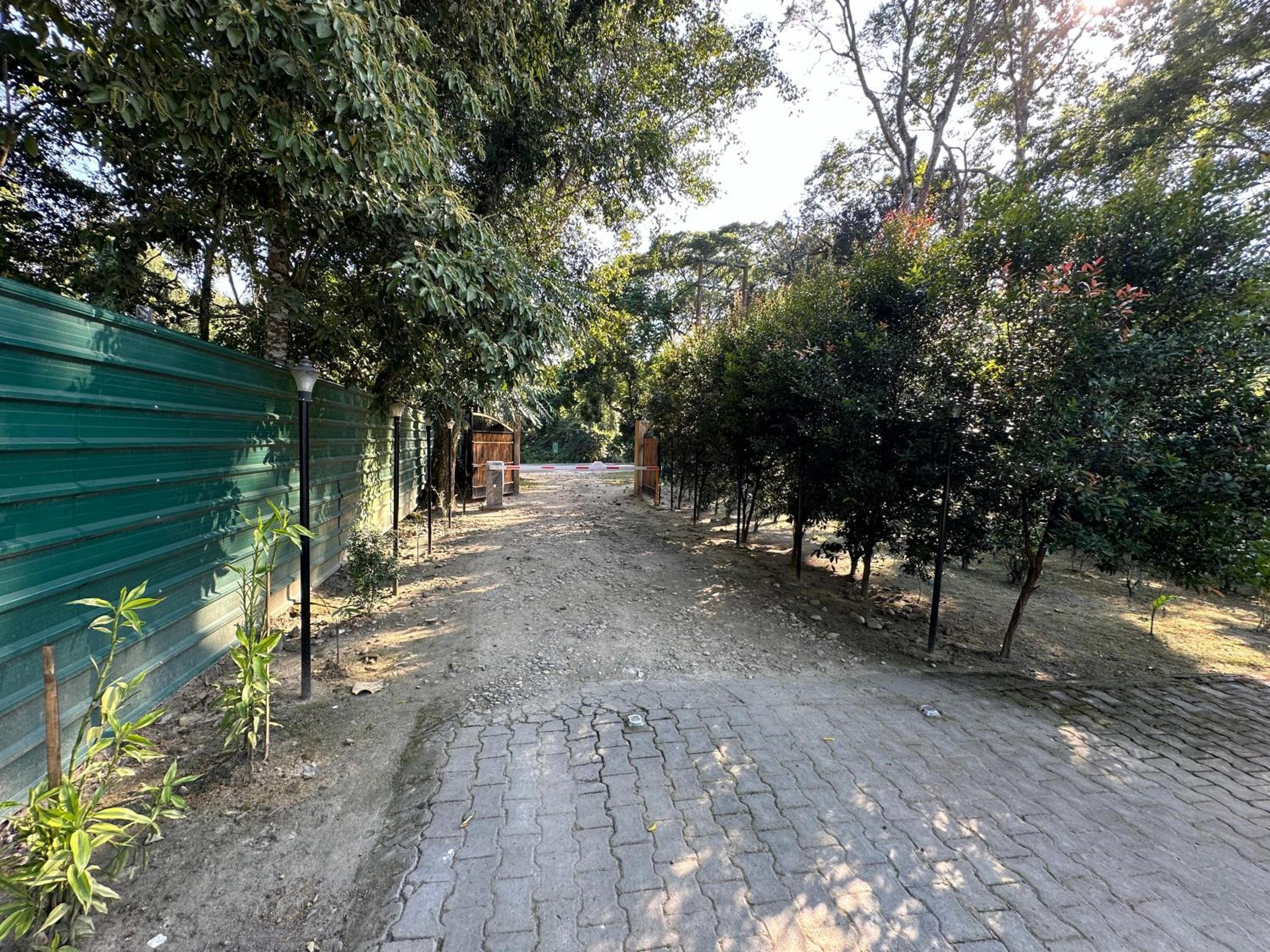 Jungleciti House, Kaziranga National Park view 5