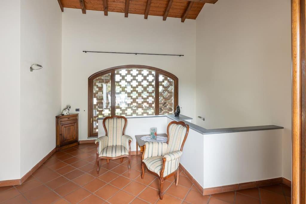 Dream And Fly photo 4