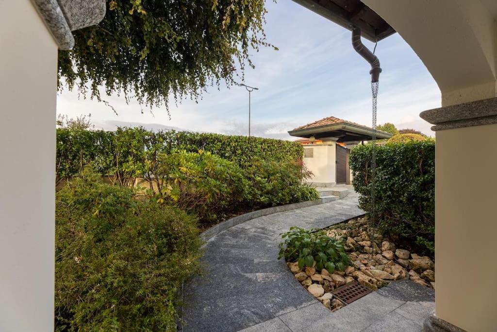 Dream And Fly photo 2