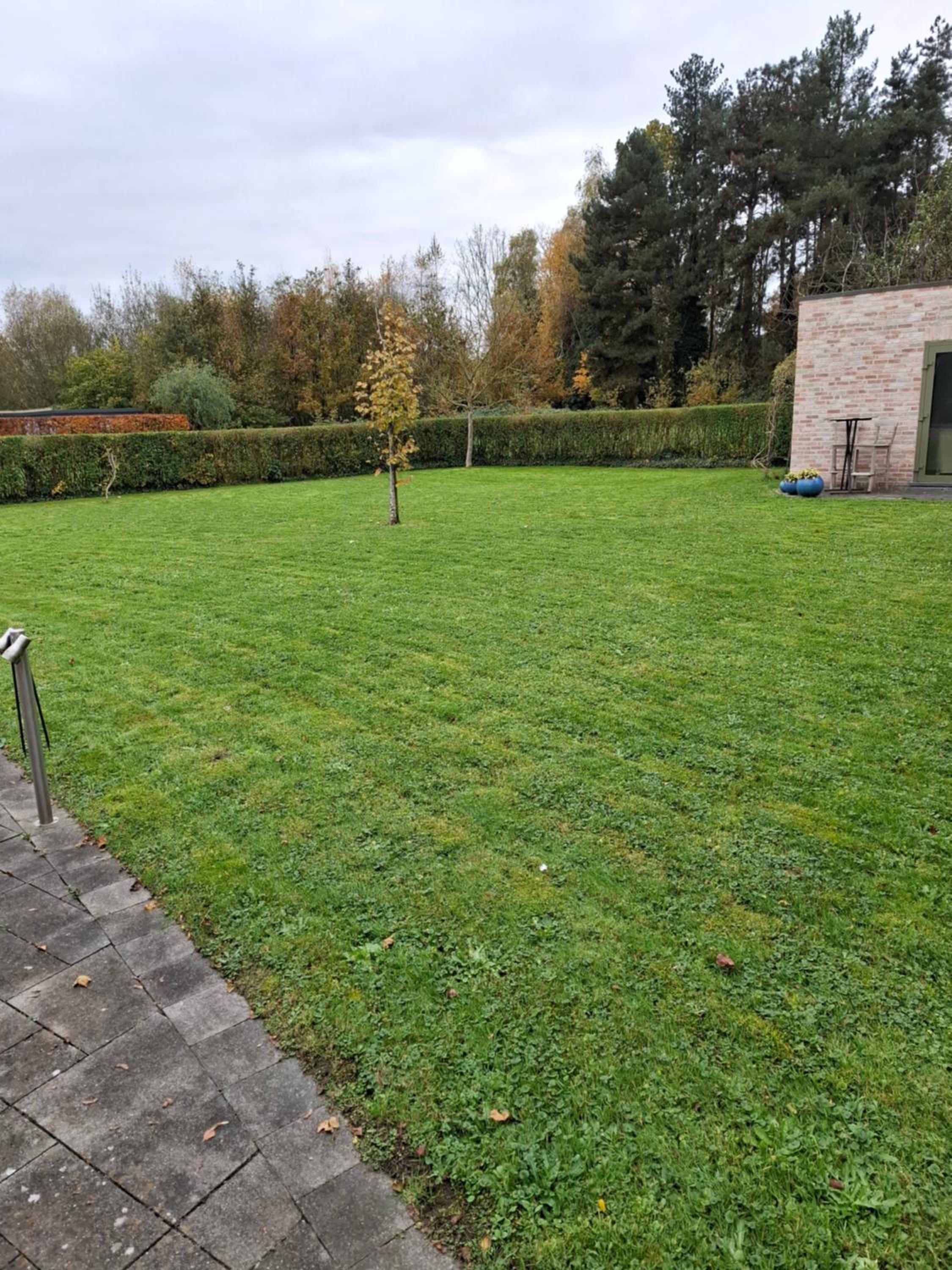 Lerrekens