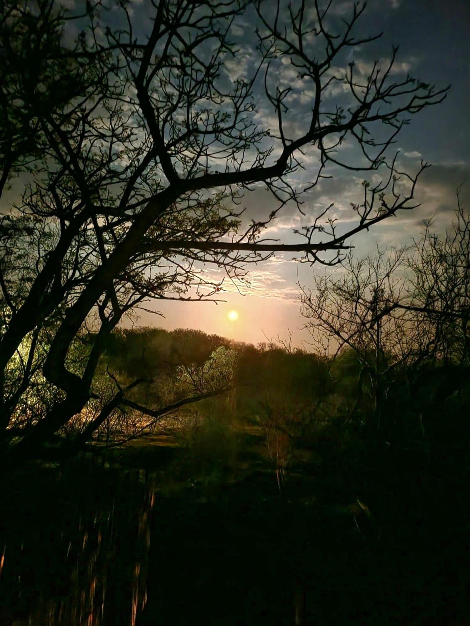 Photo 42