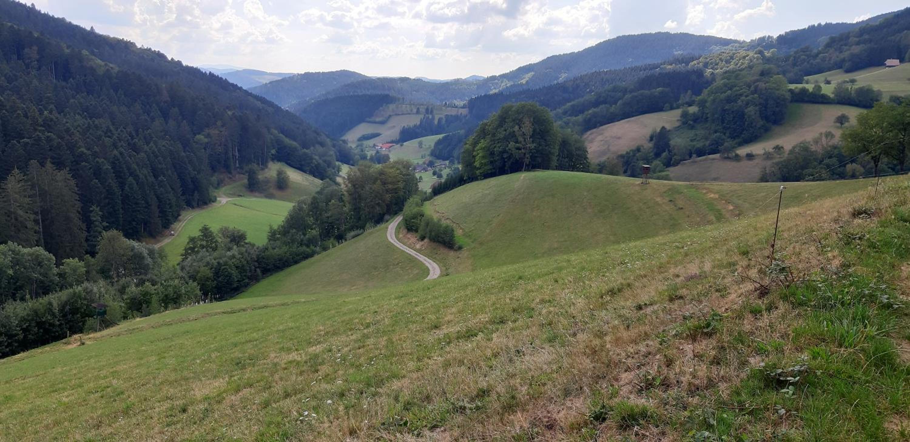 Ferienwohnung Wyss - Wolfach