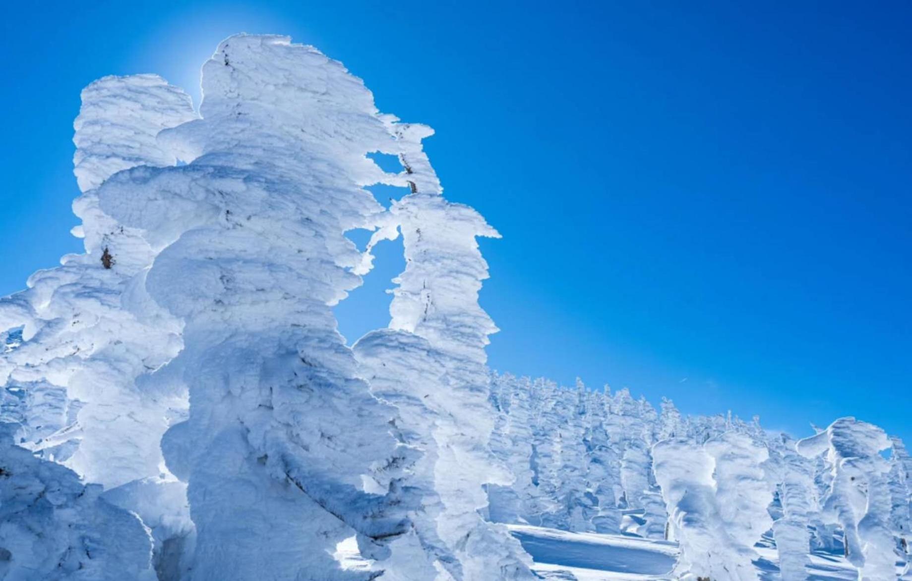 Snowfall Meteor 飛雪流星