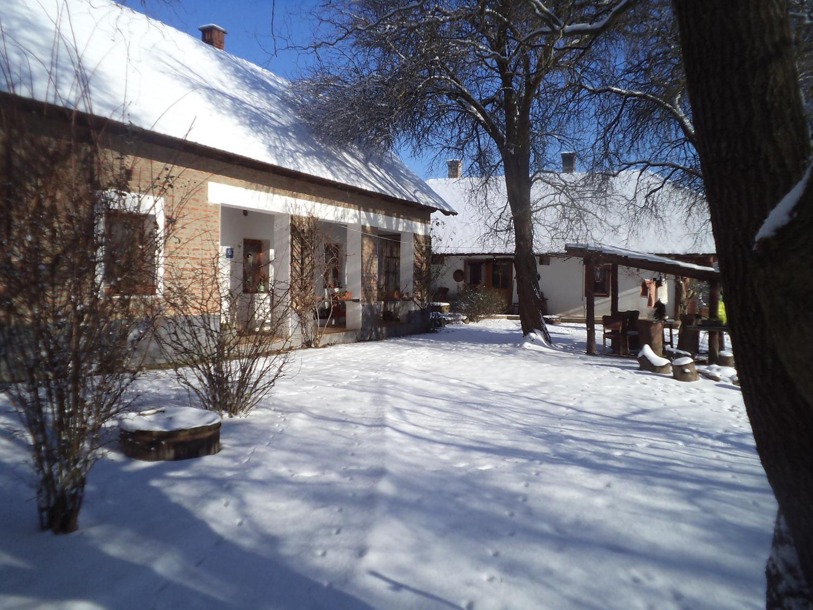 Photo 31