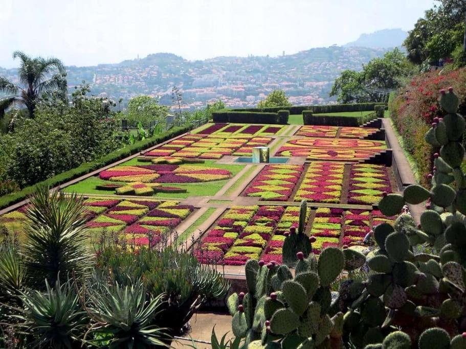 Photo 37