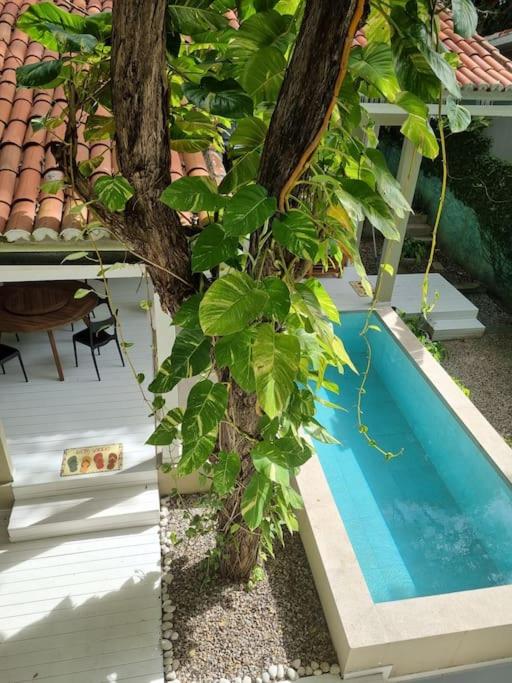 Casa Marco Zero - Pipa