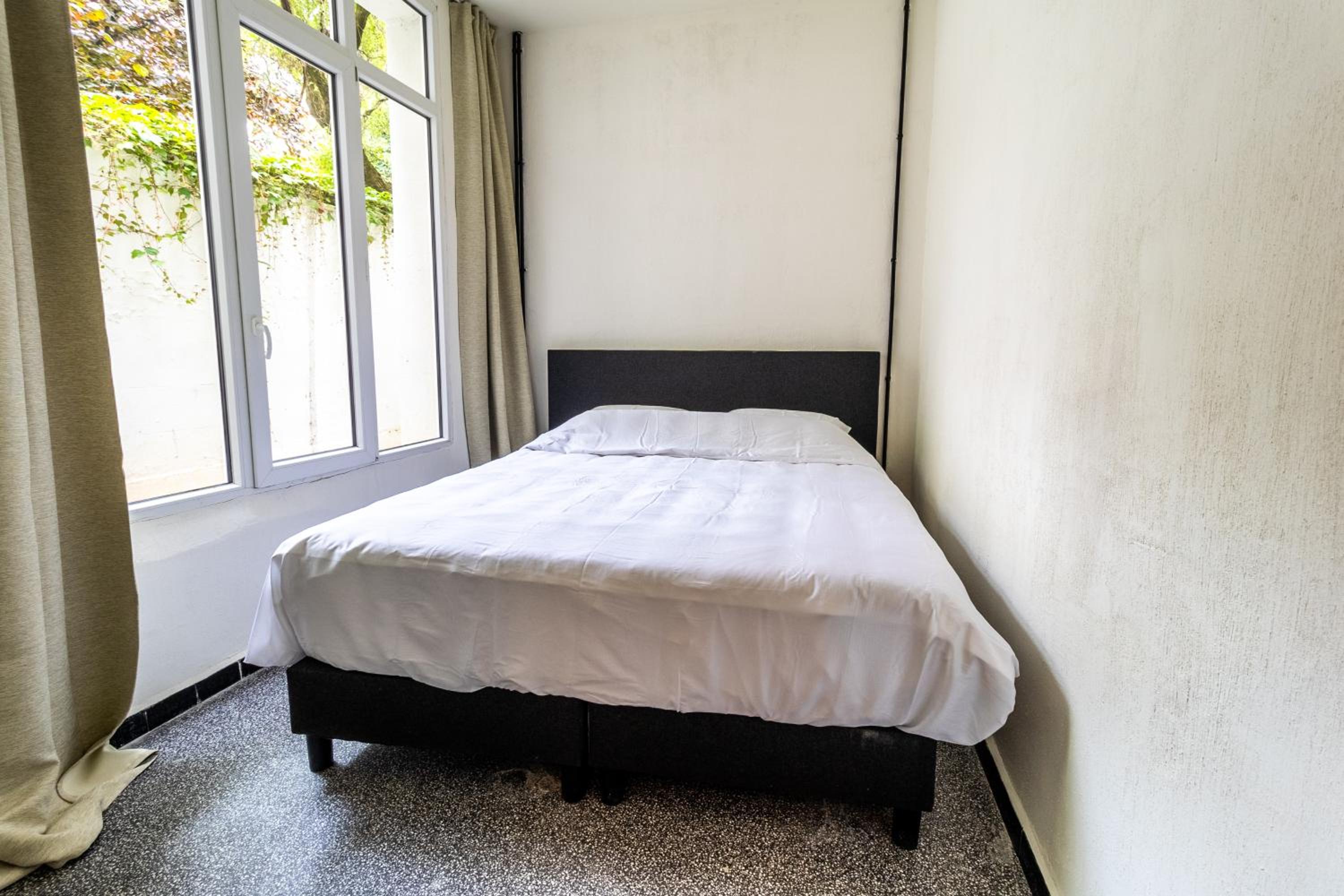 Zooside Suites