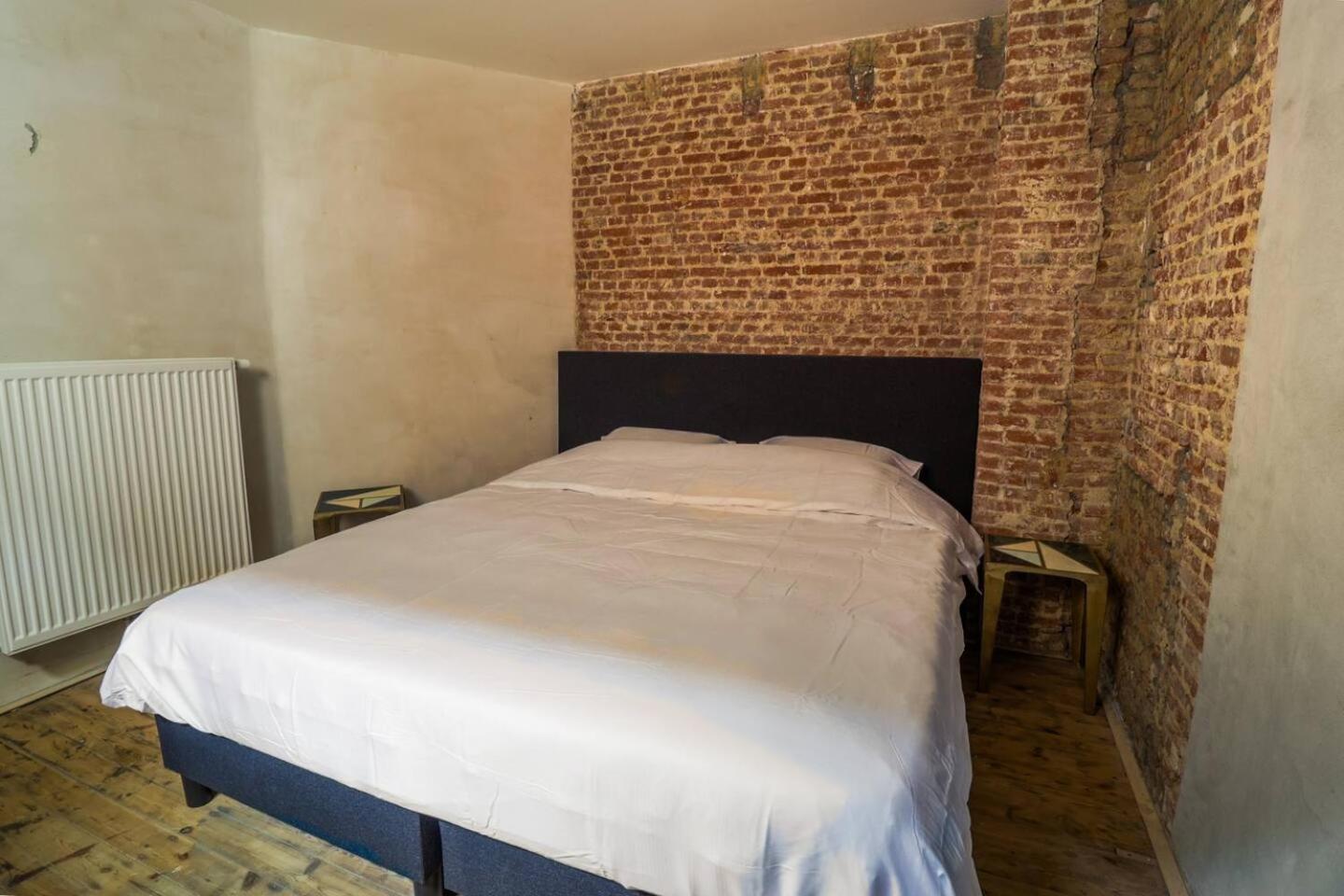 Zooside Suites