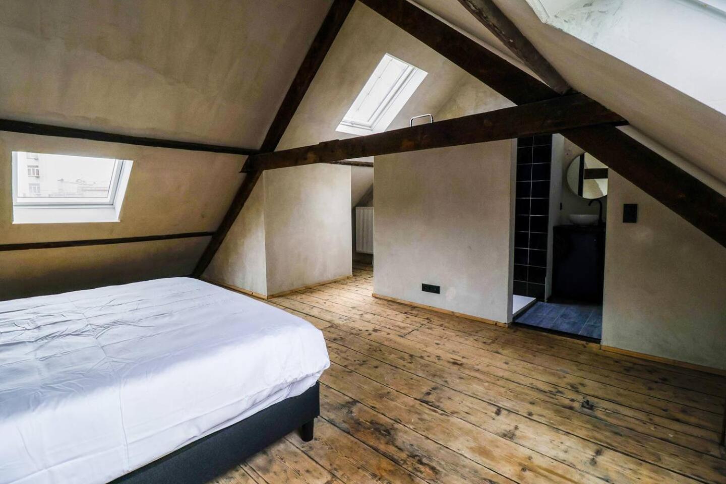 Zooside Suites