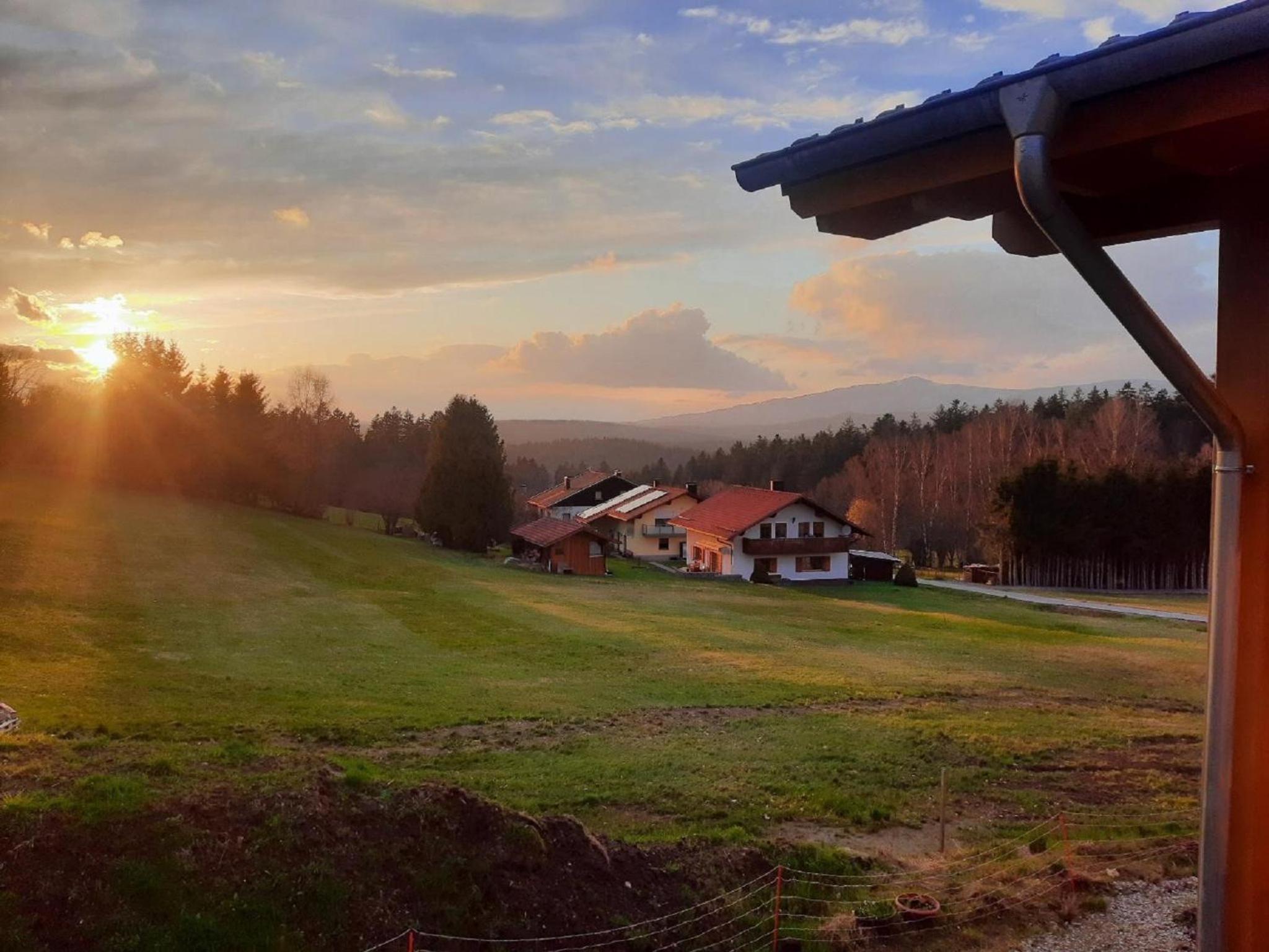 Blockhaus am Baumwipfelpfad