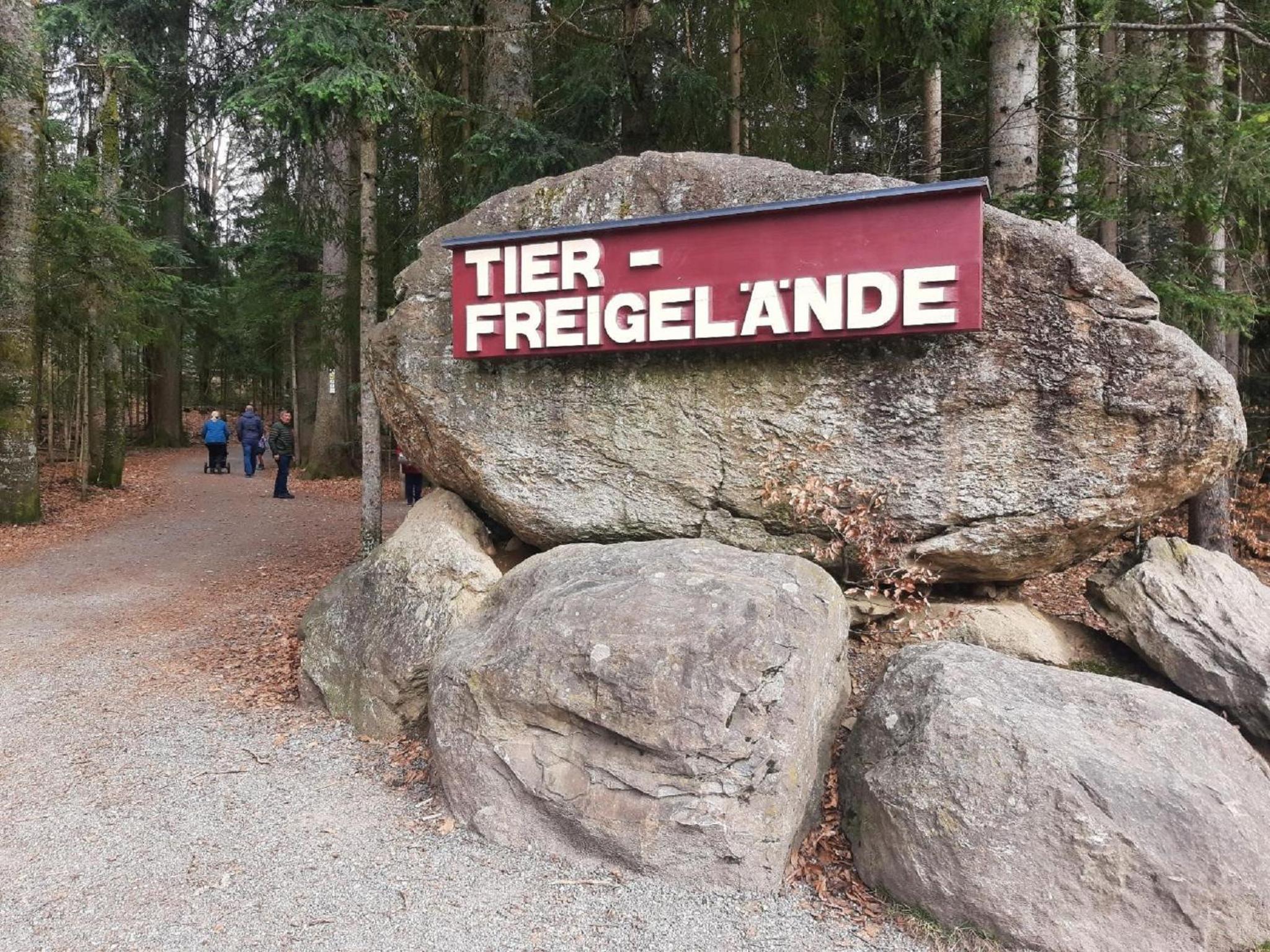 Blockhaus am Baumwipfelpfad