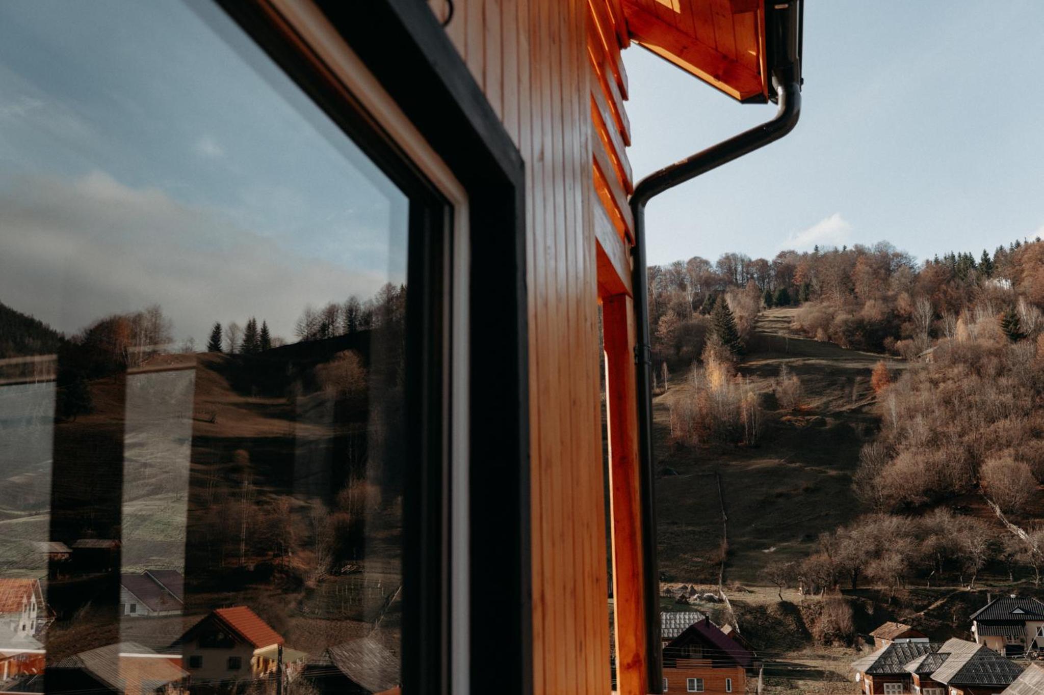 Village Brăduțu