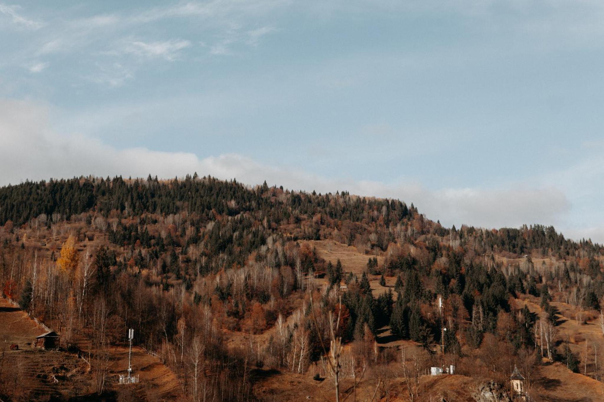 Village Brăduțu