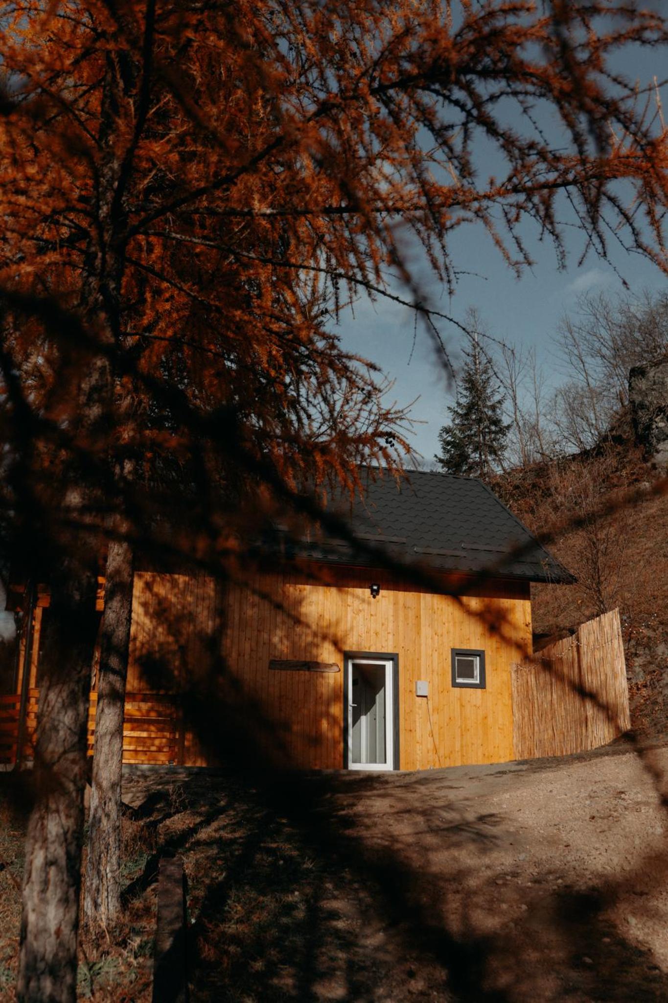 Village Brăduțu