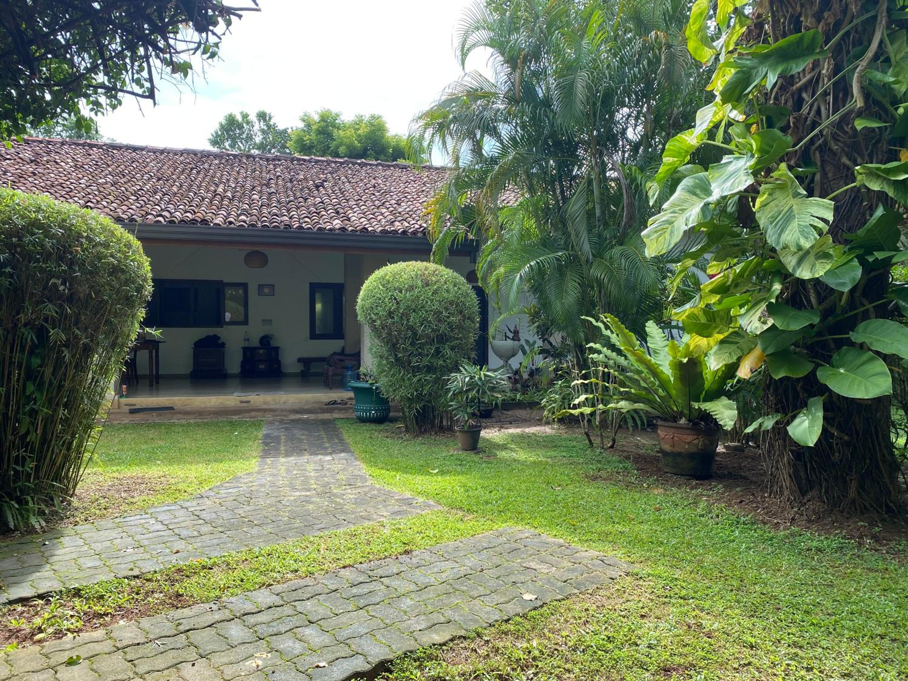 Photo 31
