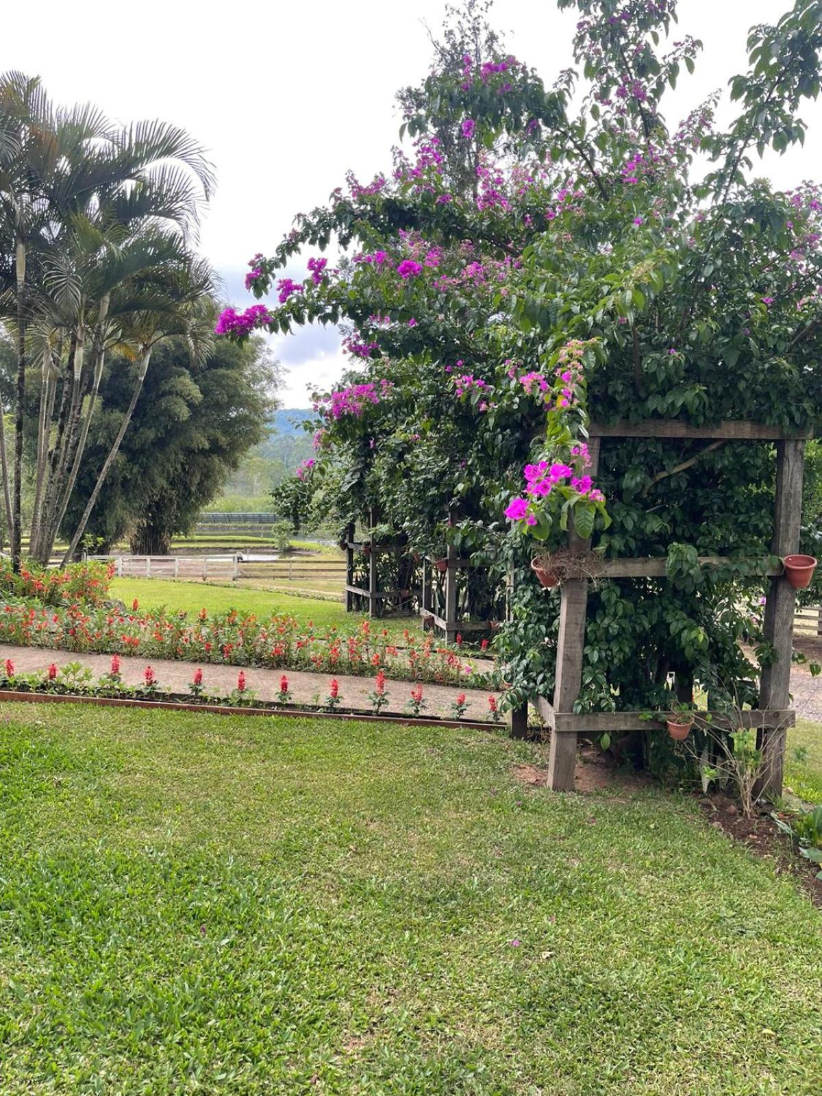 Family house