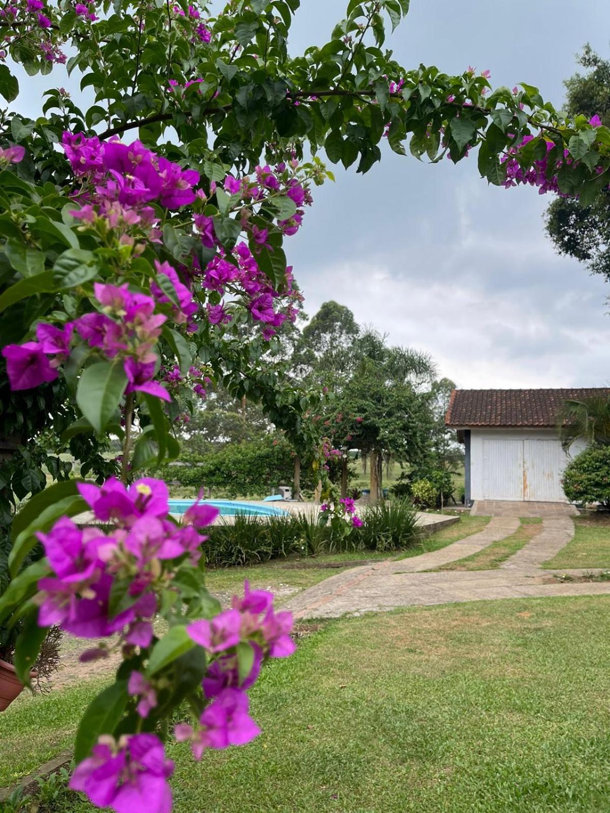 Family house