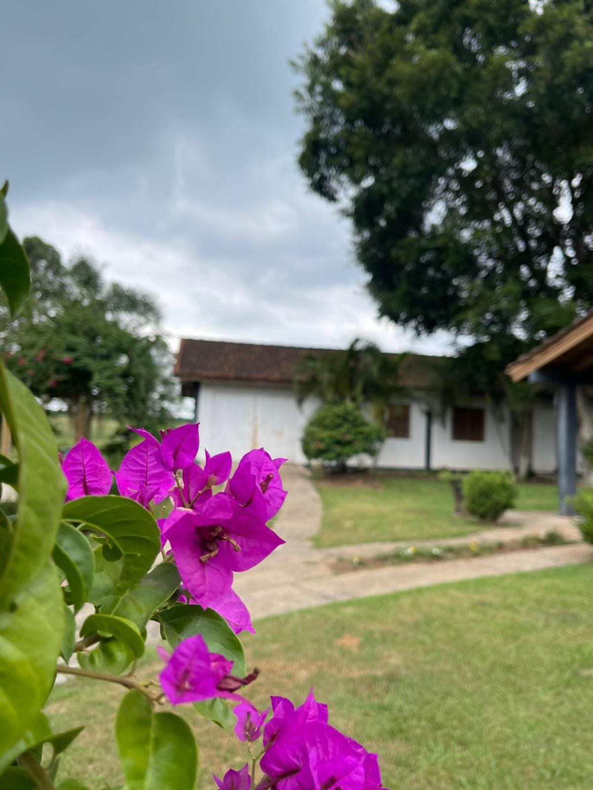 Family house