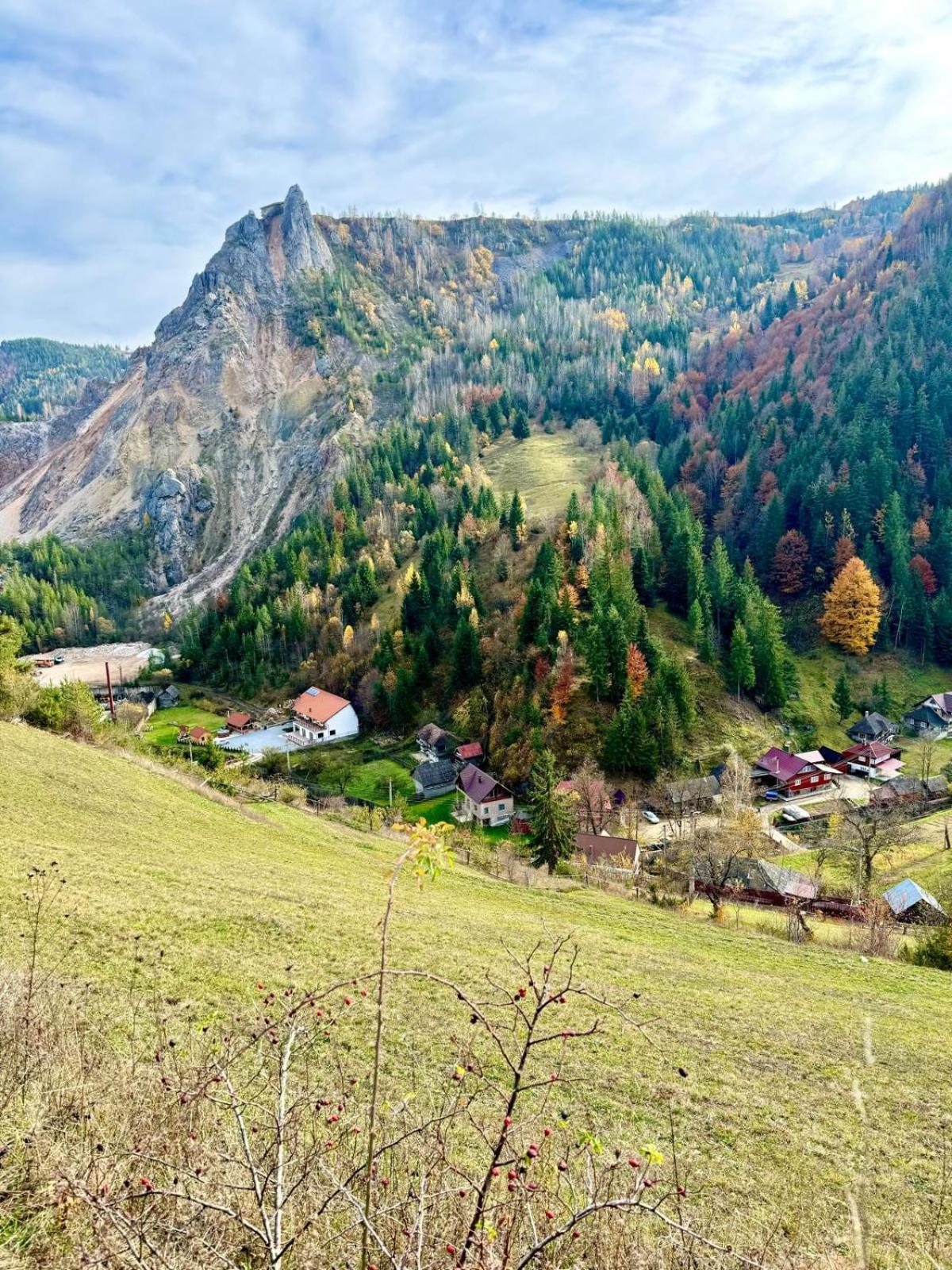 Pensiunea Cheile Șugăului view 5