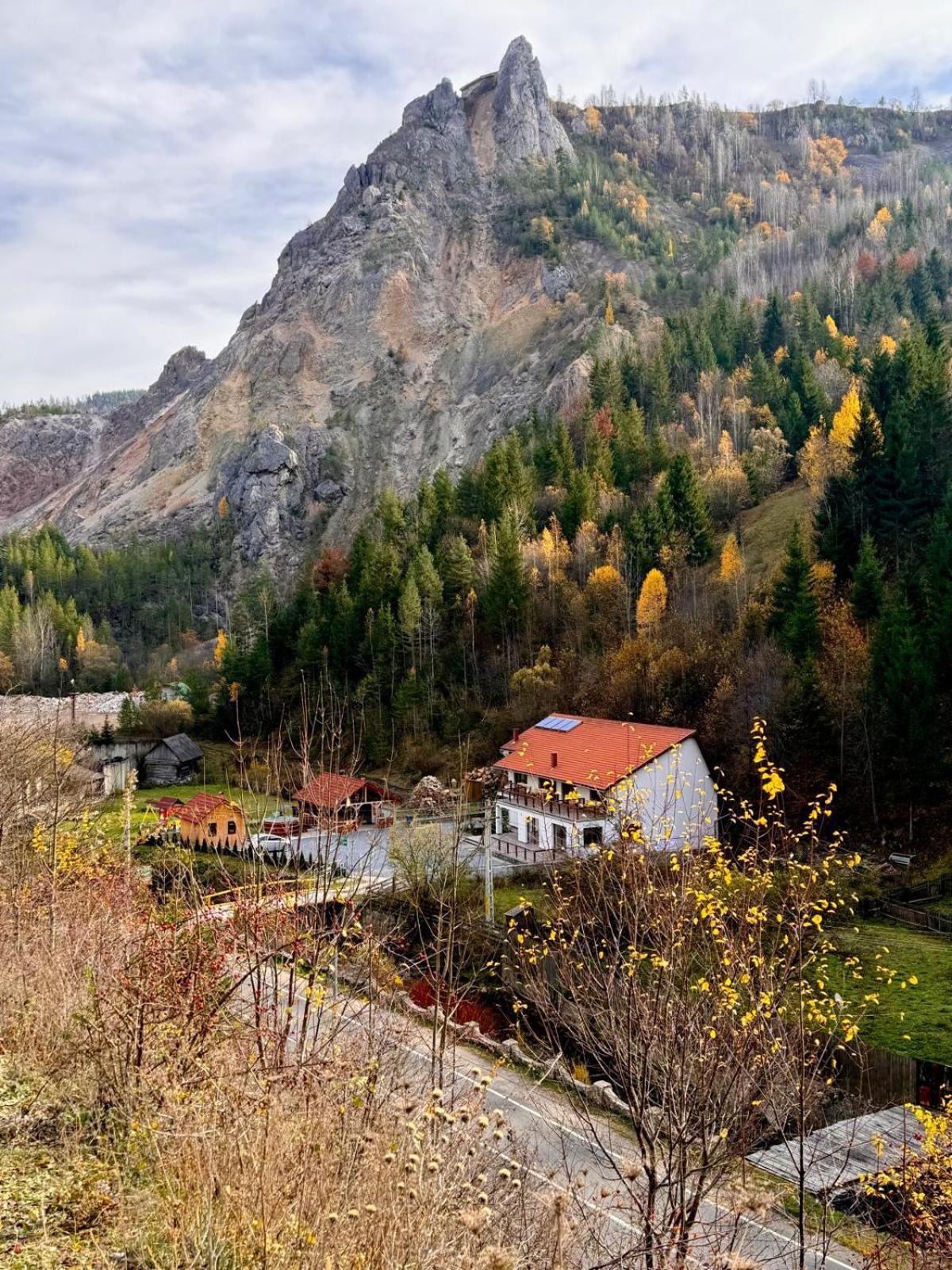 Pensiunea Cheile Șugăului view 4