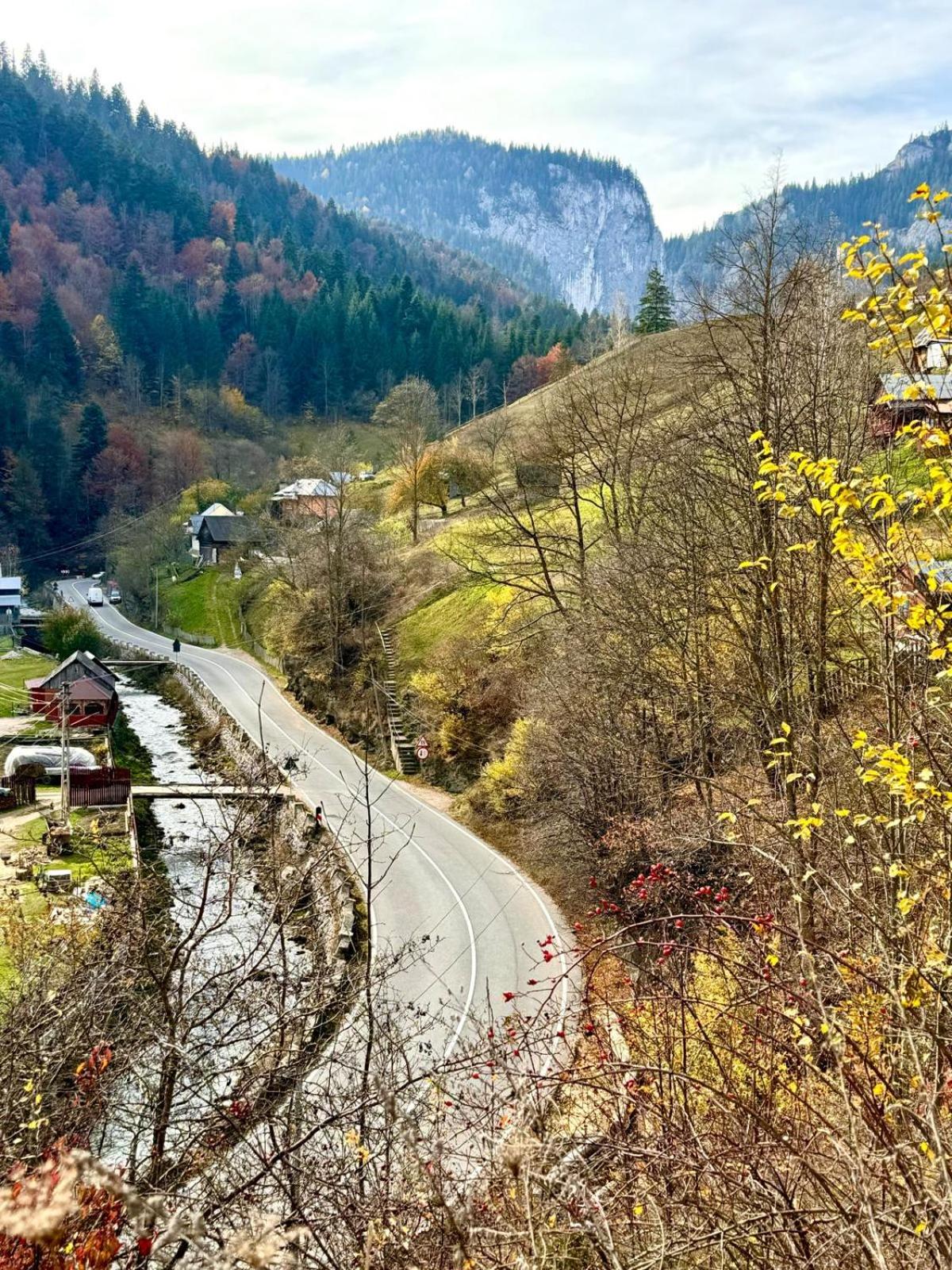 Pensiunea Cheile Șugăului view 3