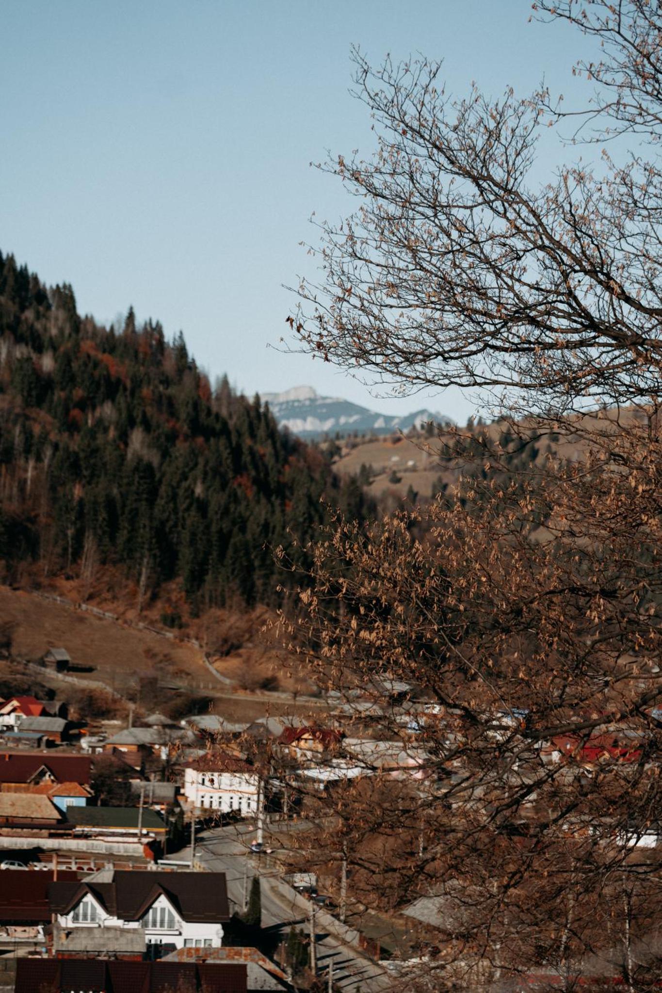 Village Brăduțu