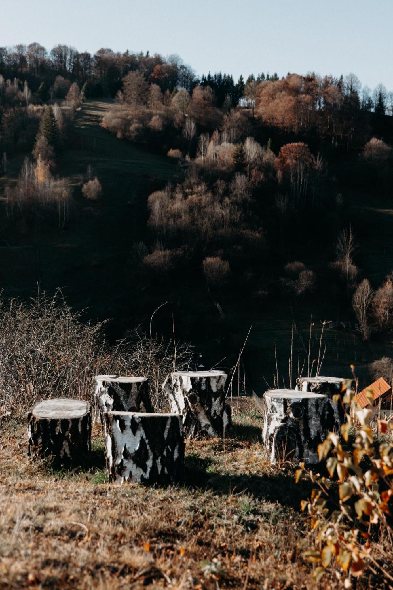 Village Brăduțu