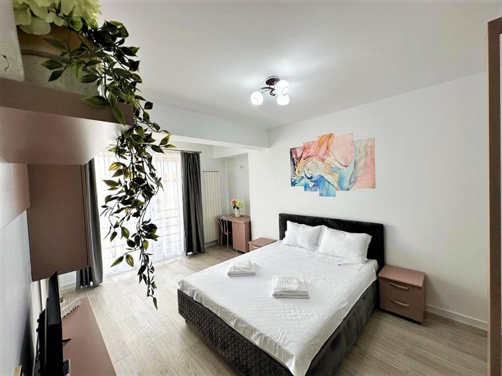 Isabell Home centru view 4