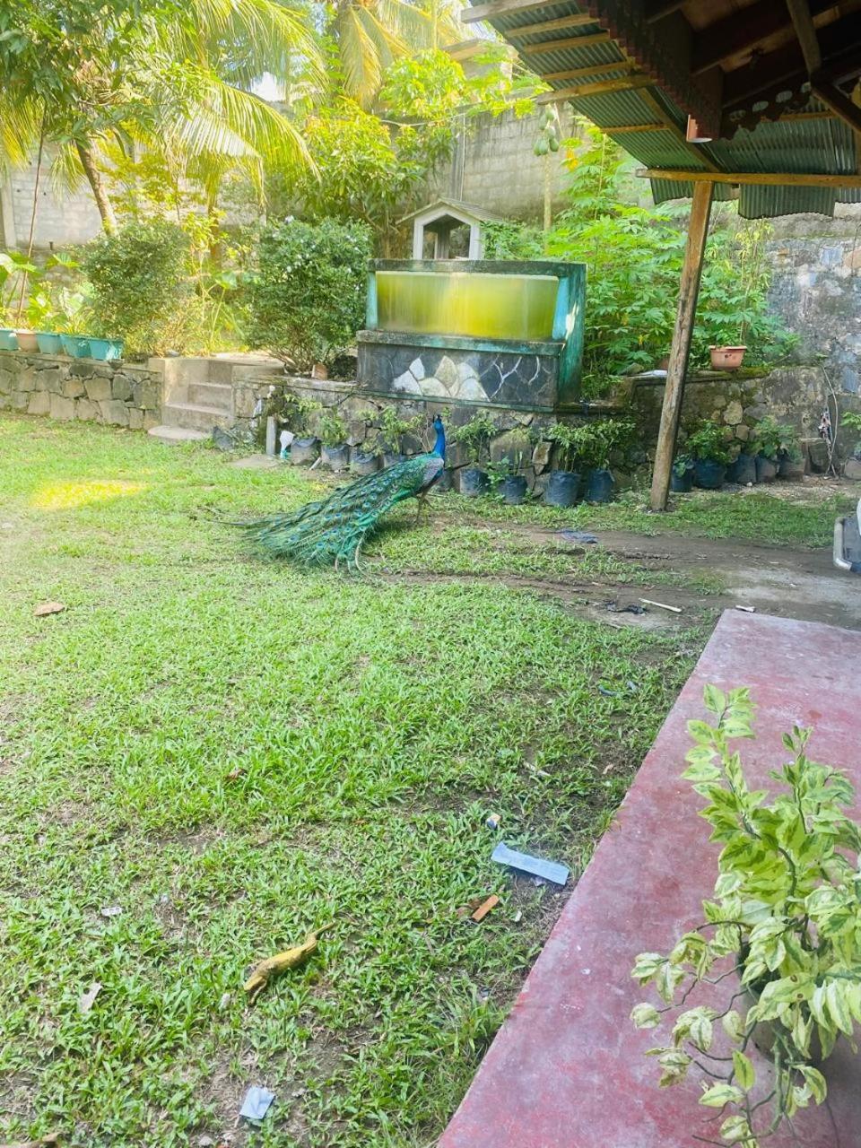 Photo 46