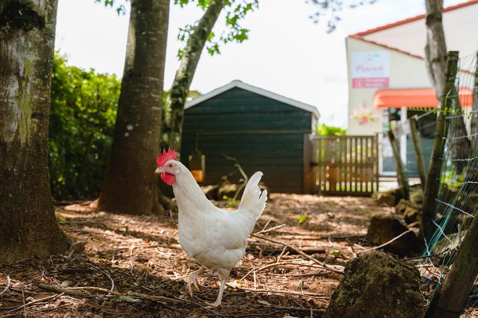 Glamping Virton