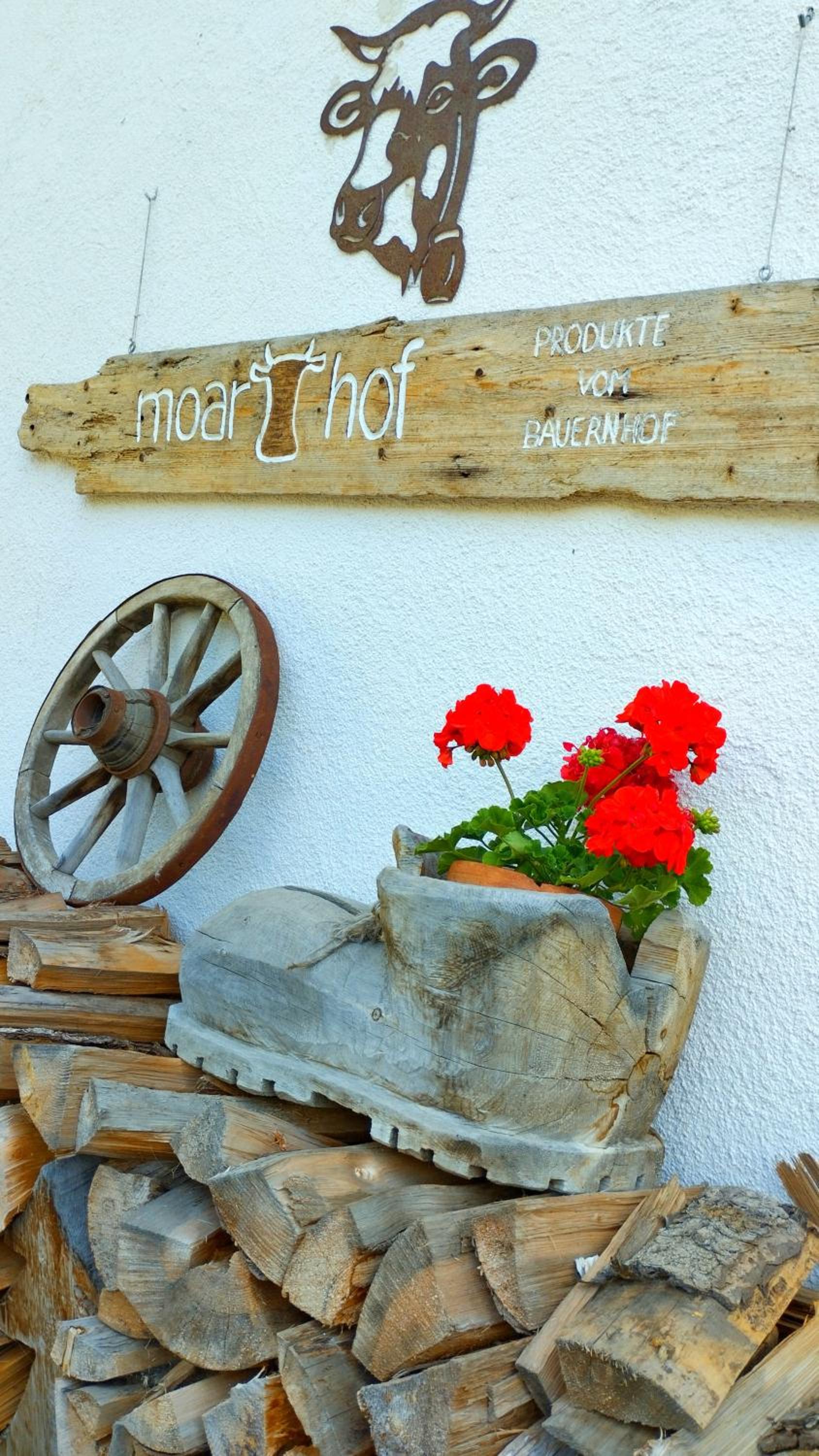 XXL-Appartement Moarhof Urlaub am Bauernhof