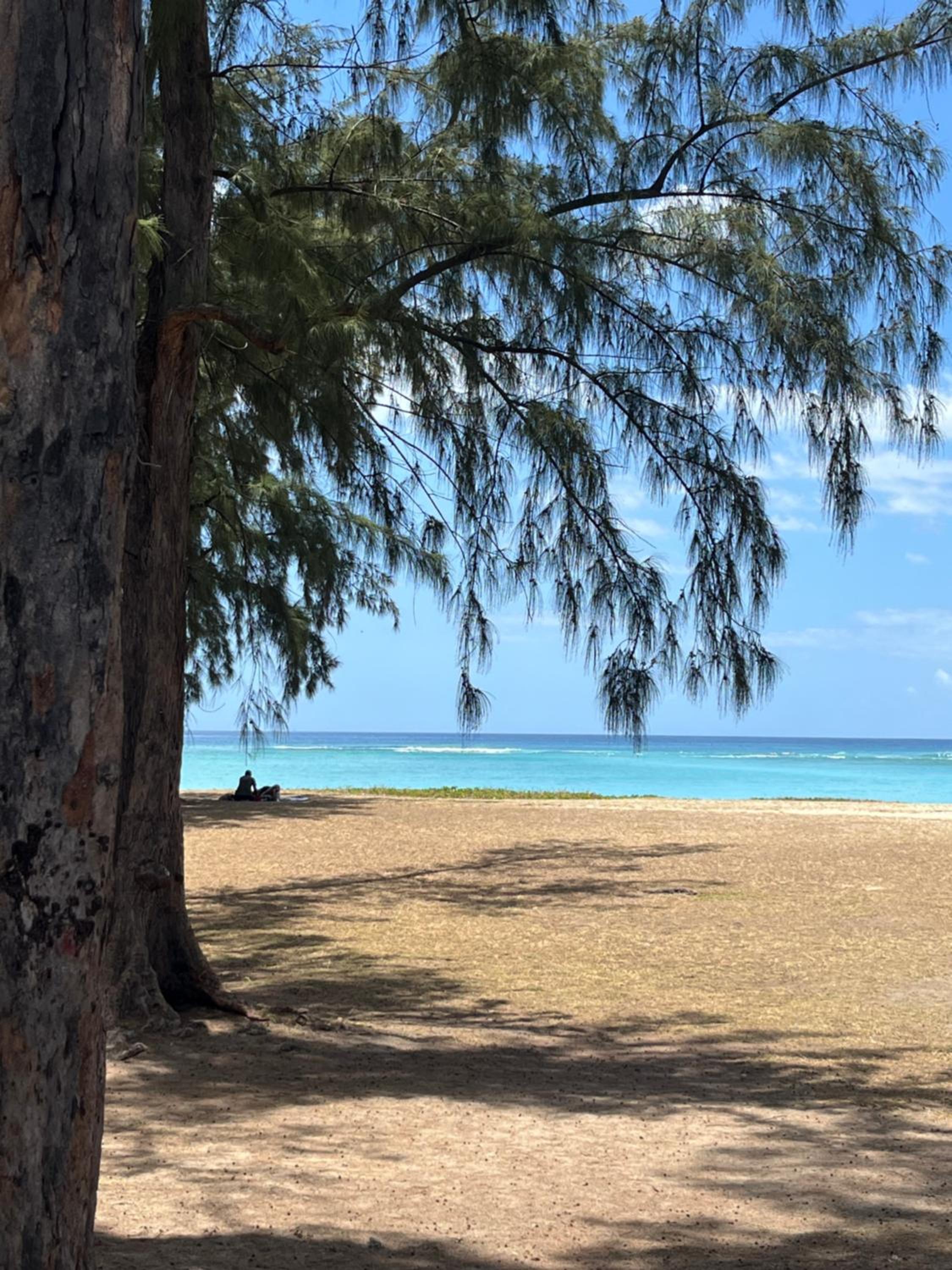 Tropical Retreats