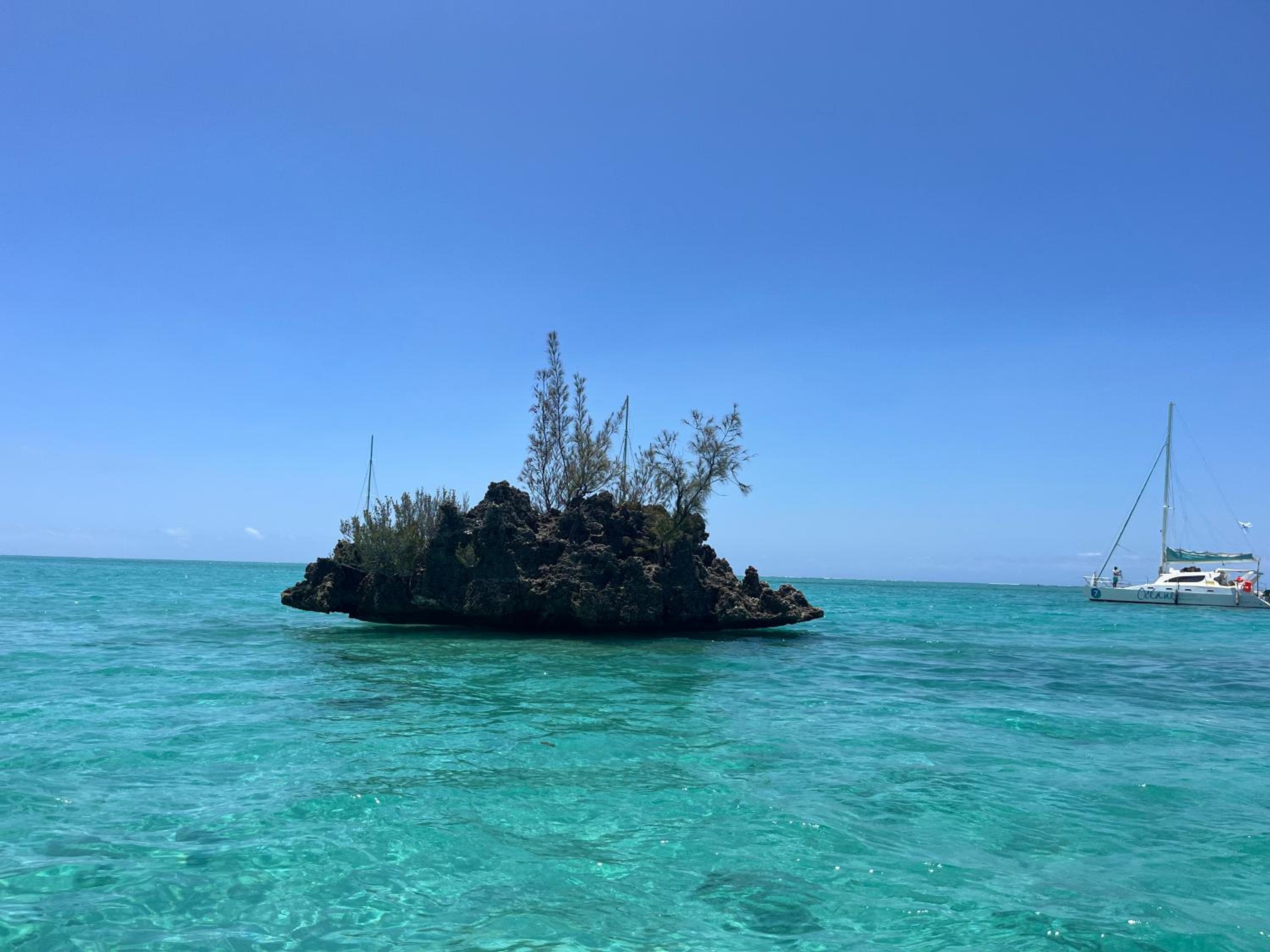 Tropical Retreats