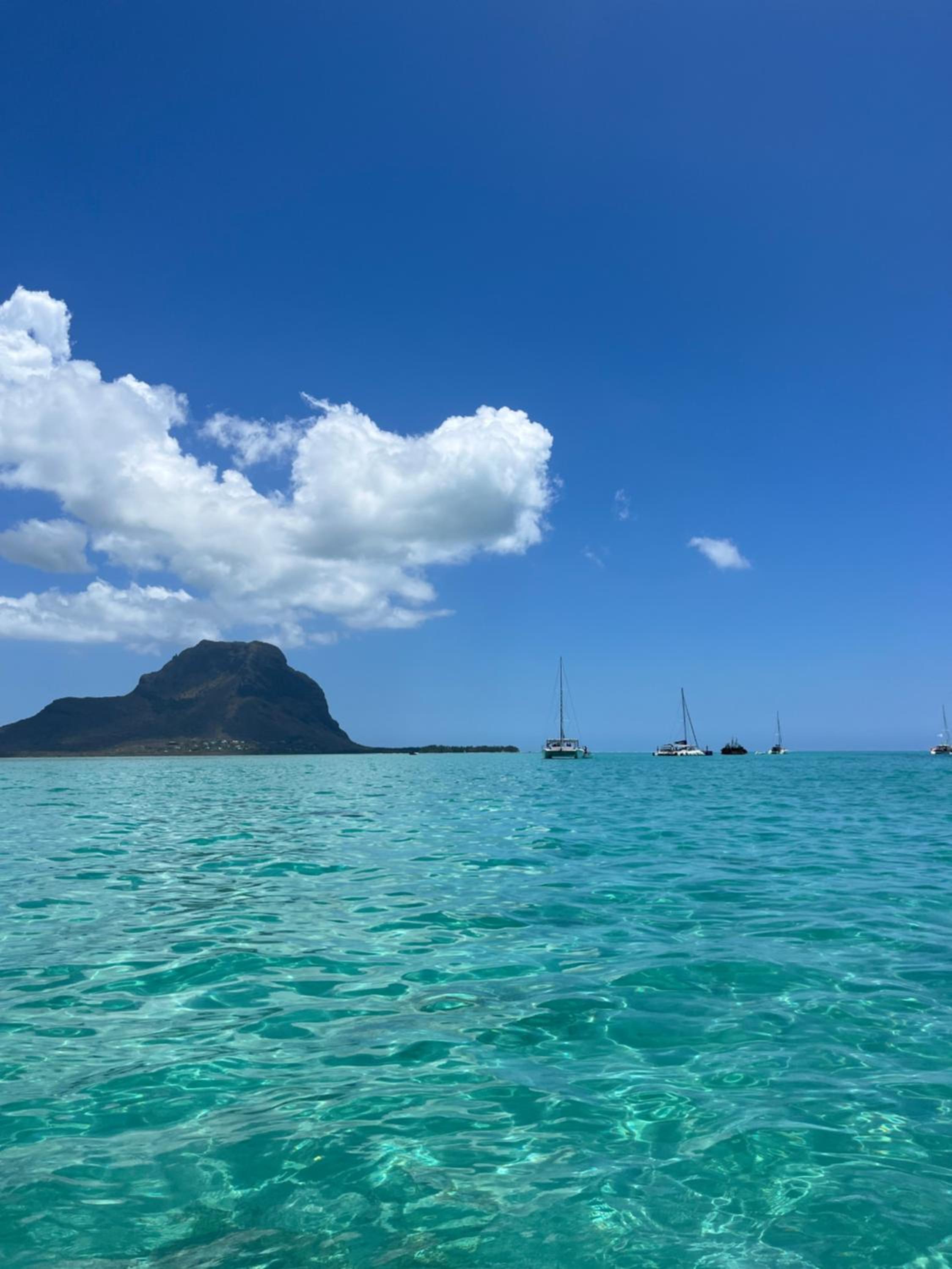 Tropical Retreats