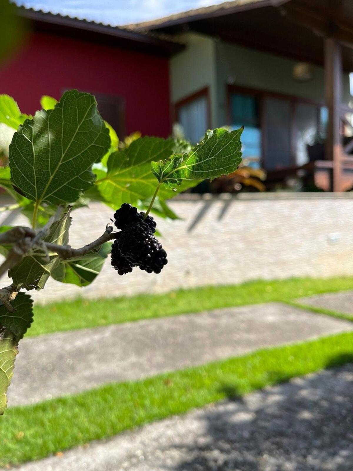 Casa LUXO Influencer perfeita