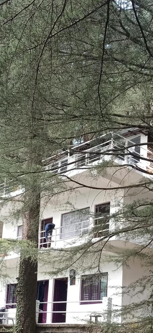Himalayan Mountain Triund Hill Trekkers and Waterfalls View Hostel view 3