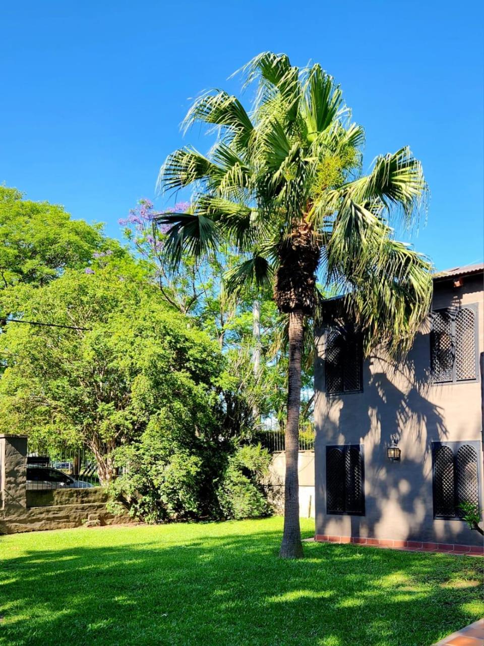 Casa BAUM