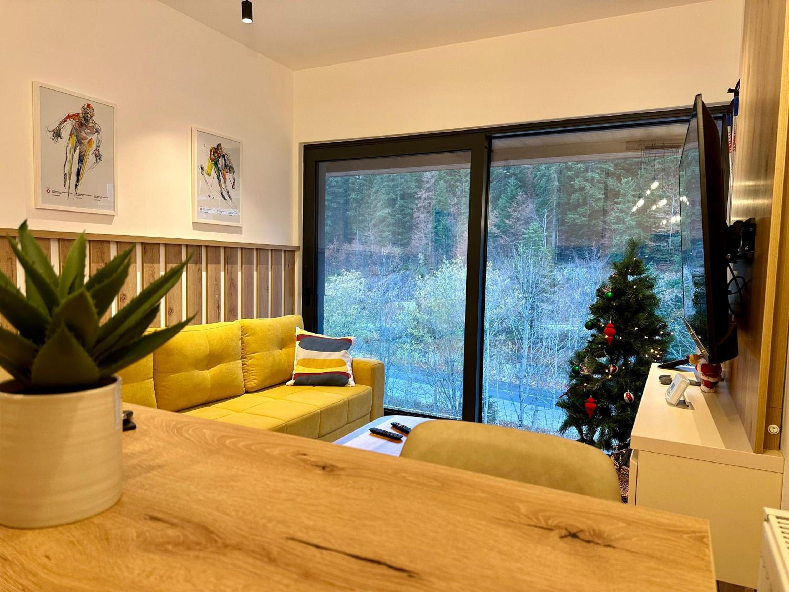 Charmy mountain suite in hotel Phoenix