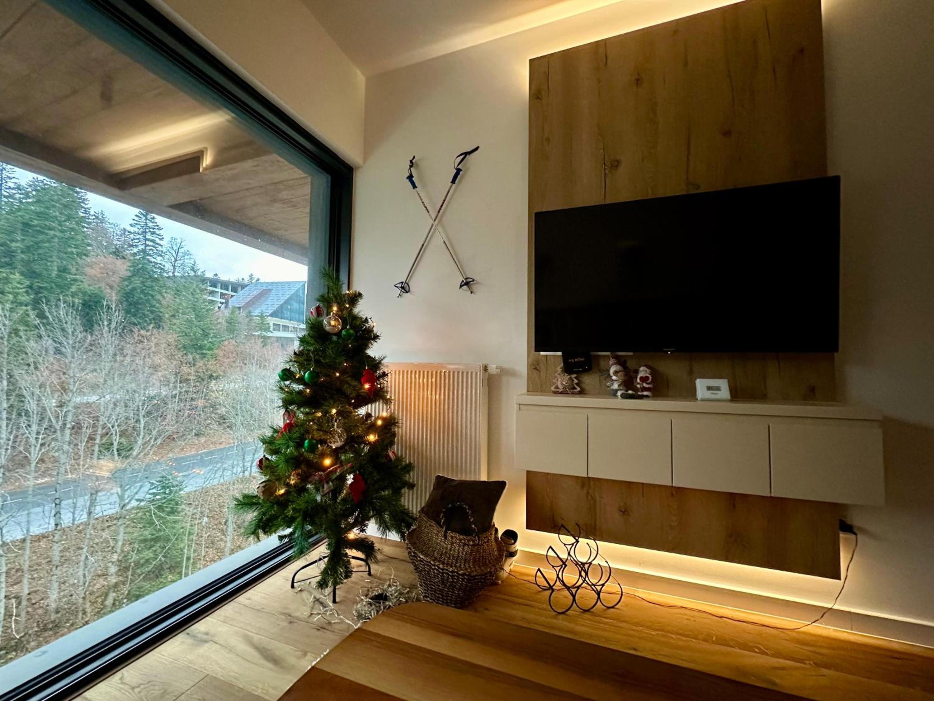 Charmy mountain suite in hotel Phoenix