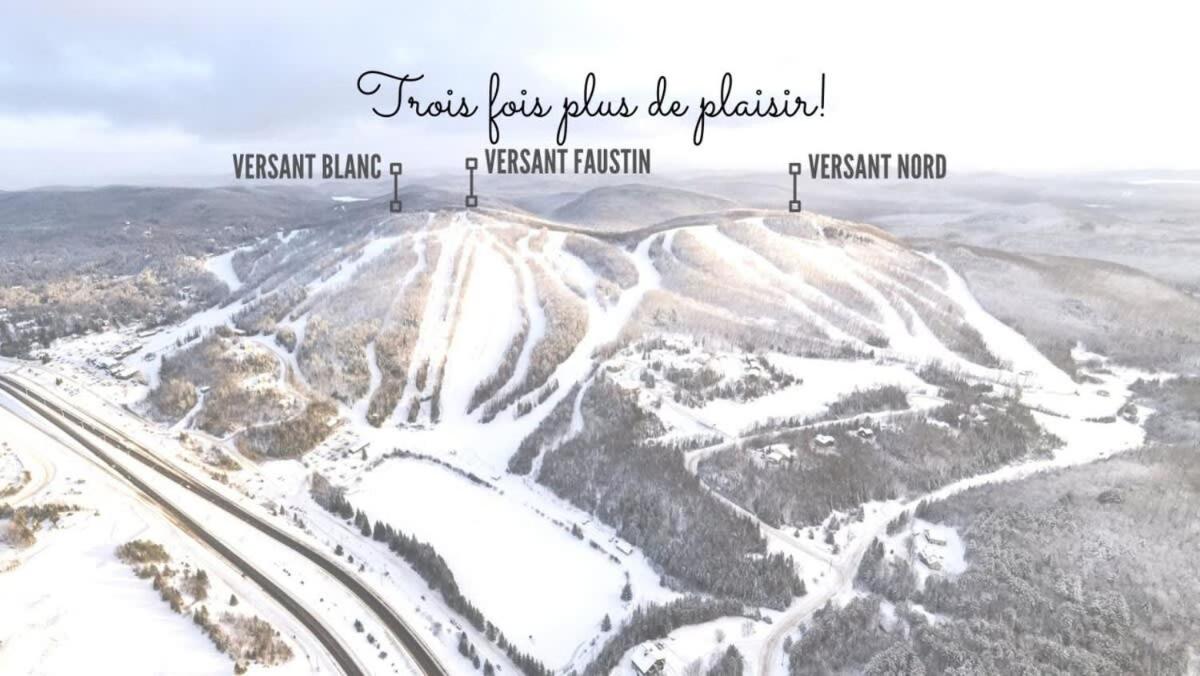 Ski In Out view on Mont-Blanc hills - Le Loup
